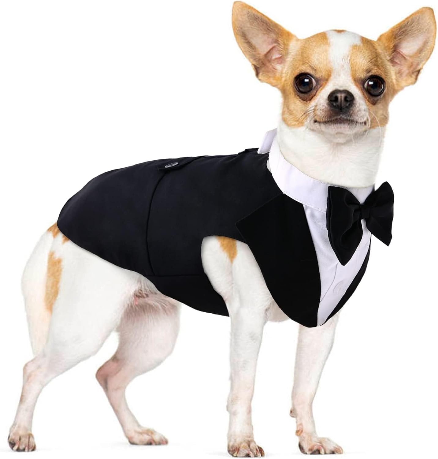 PUMYPOREITY Small Dog Bowtie Tuxedo...