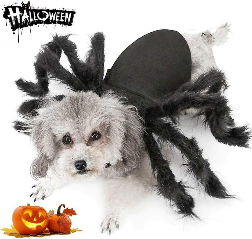 Dog Cat Spider Costume for Hallowee...