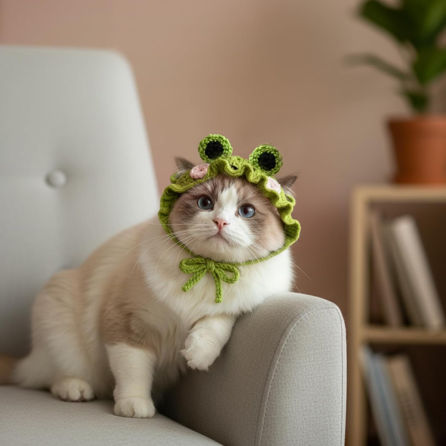 Cute Cat Hat Costume Suitable for 5 to16 lbs - Frog Cat Bonnet Head Circumference 11" or Less Cat Halloween Costumes Pet Photography Outfits - Image 6