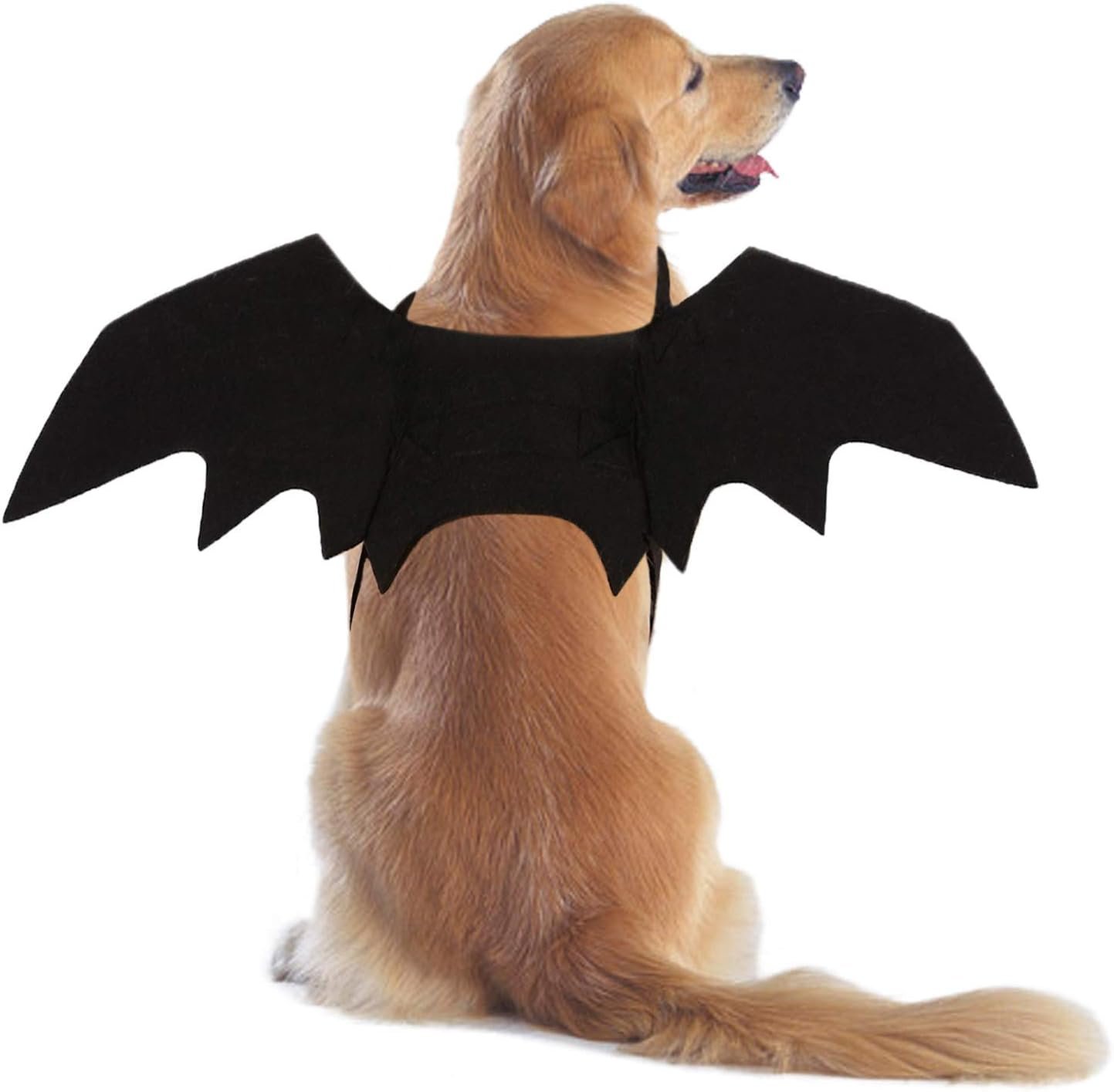 Rypet Dog Bat Wings Costume M, Dog ...