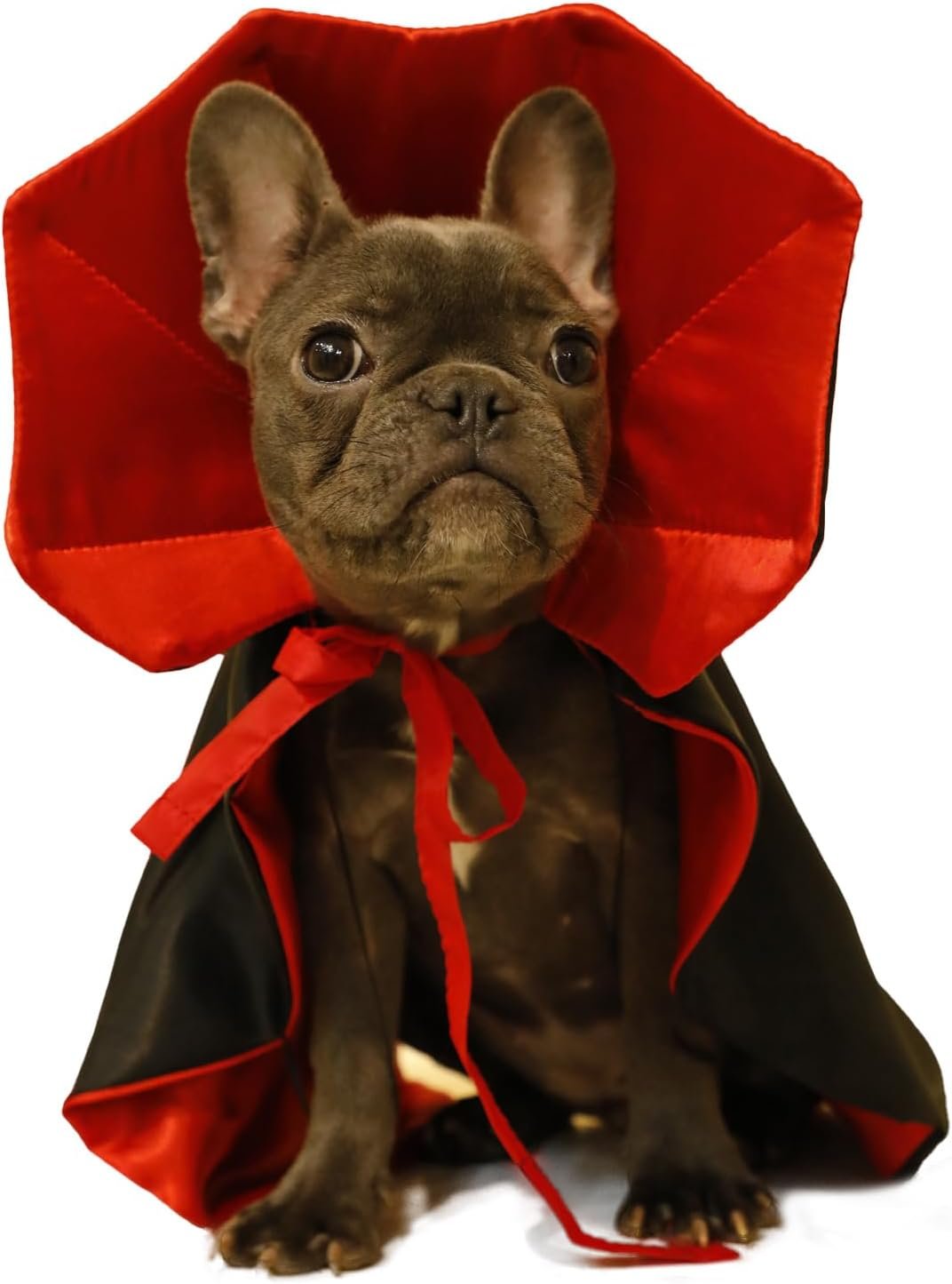 Dog Cat Vampire Cloak Costume for S...