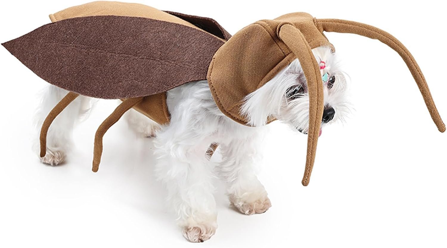 Halloween Puppy Cat Costume Dog Coc...