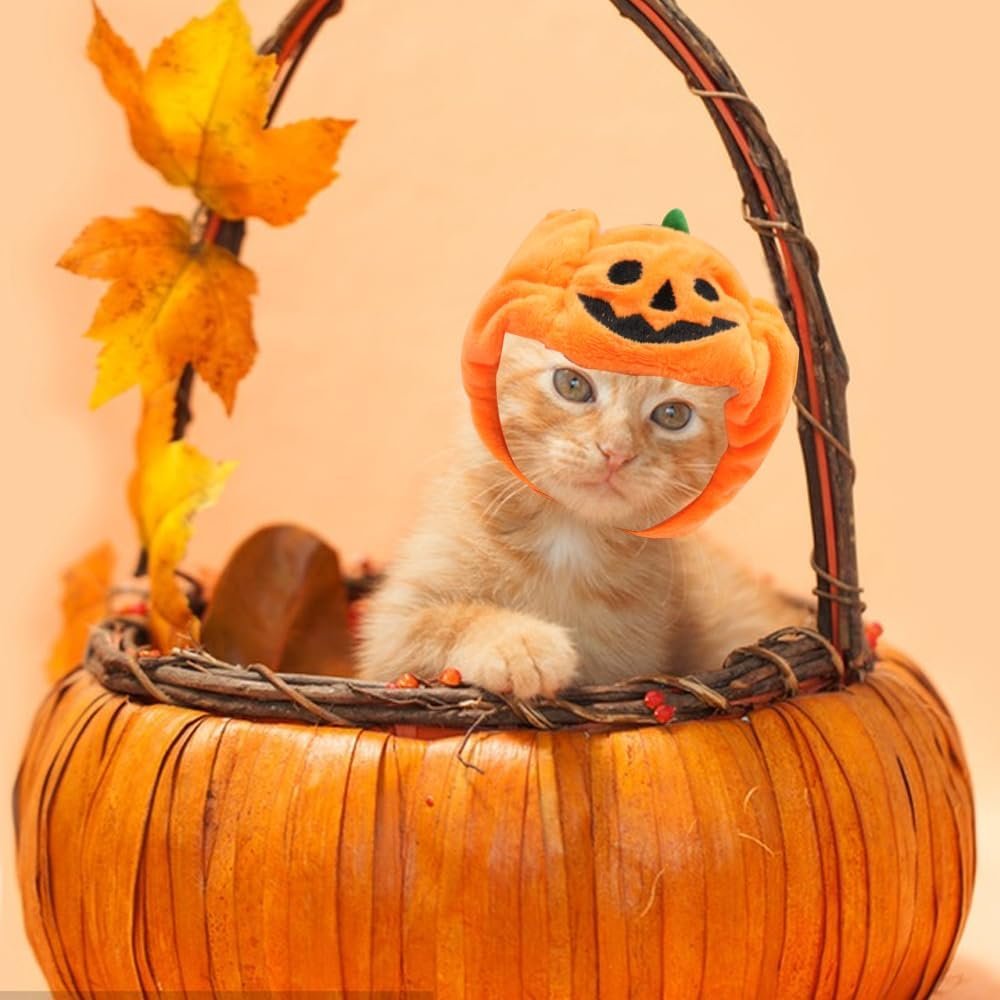 Hying Cats Pumpkin Hat for Dogs Pet, Adjustable Cute Orange Pet Pumpkin Cap for Halloween Cosplay Costume Puppy Kitten Party Dress Up Accessories Soft Pumpkin Headwear for Halloween - Image 4