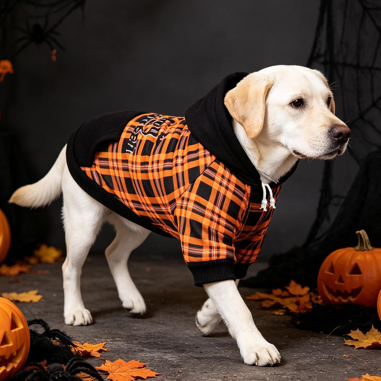 PUPTECK Halloween Dog Hoodie Fall Pet Sweatshirt Soft Warm Clothes Fleece Lined with Hat for Small Medium Large Dogs, Pocket Design, Black L - Image 6