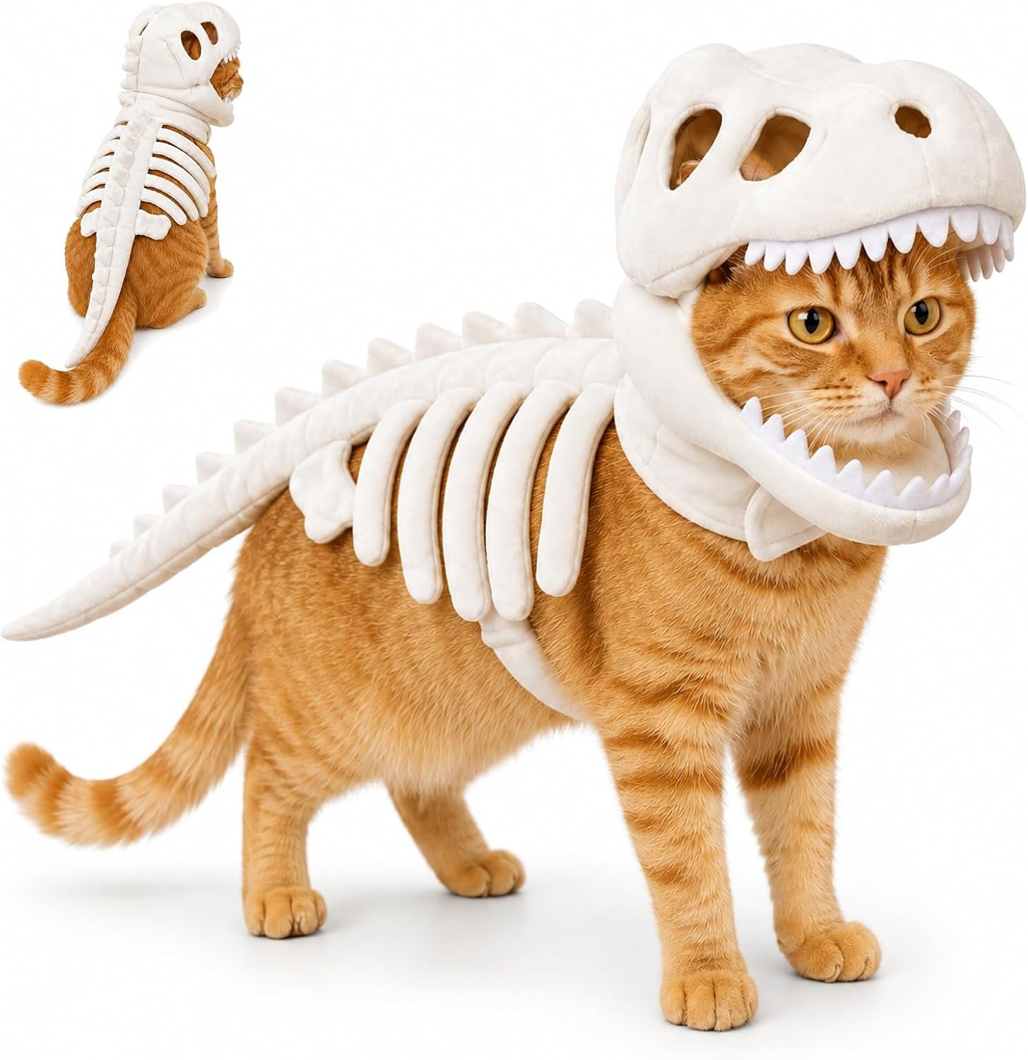 Cat Dinosaur Costume, 3D Dinosaur D...