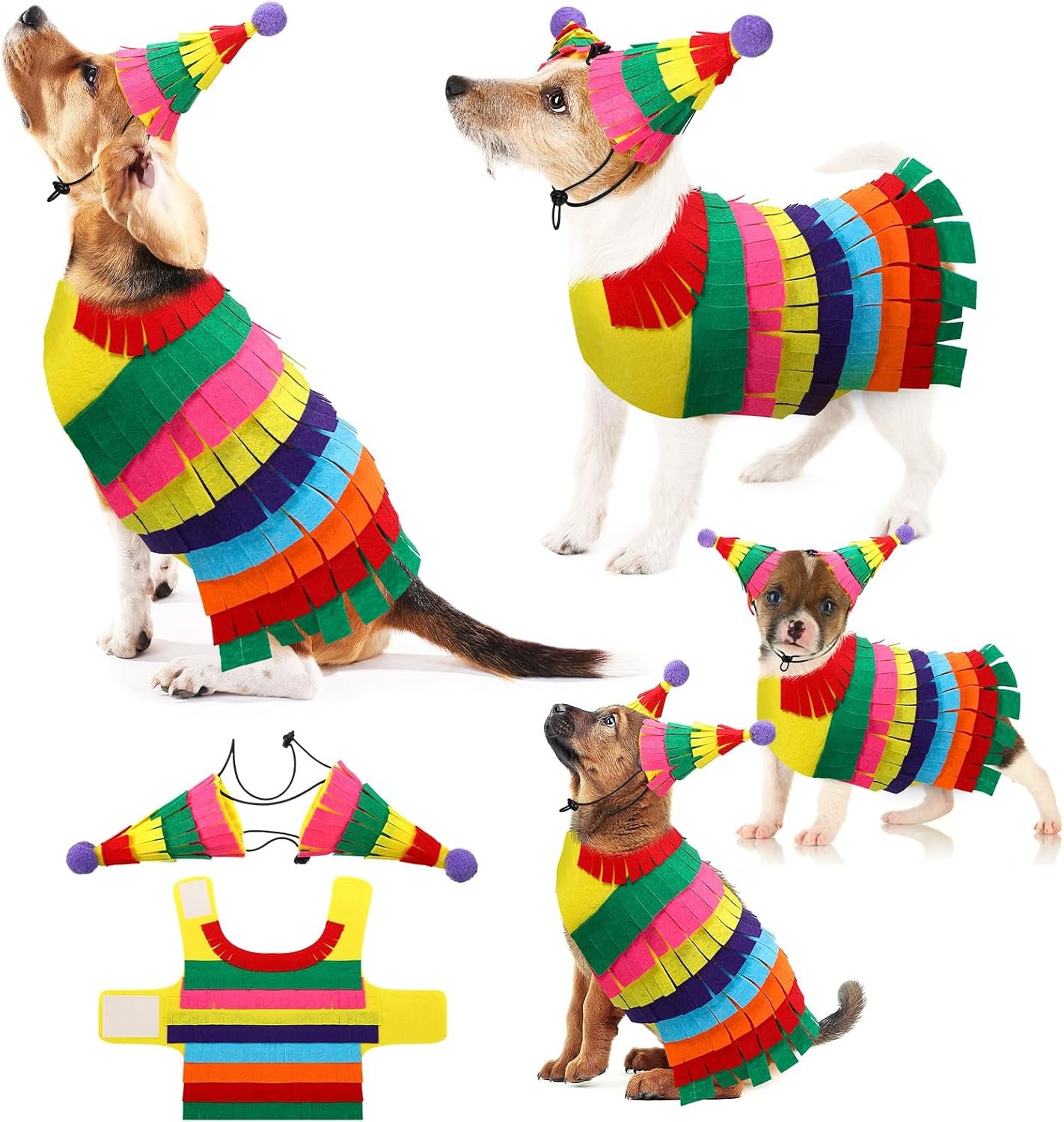 Dansydaisy Halloween Piñata Dog Co...
