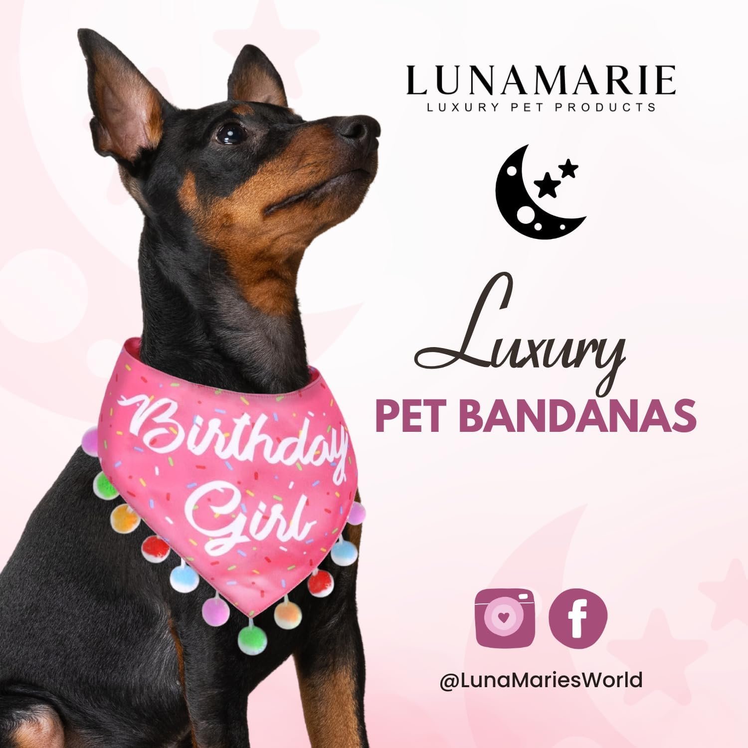 LunaMarie - Luxury Pet Birthday Bandanas -Premium & Silky Poly Fabric | 100% Handmade | Custom Shape Dual Layered (Birthday Girl, Small) - Image 2