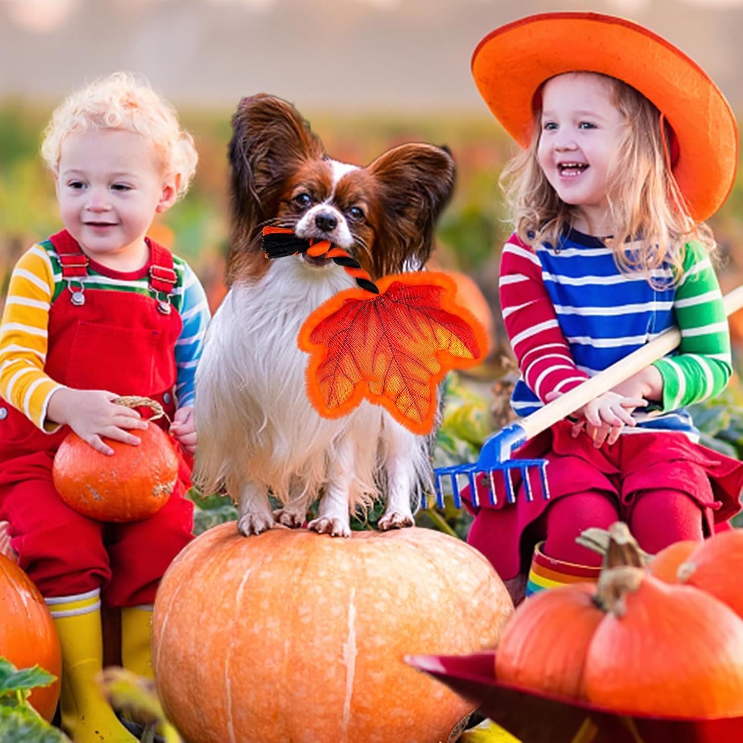 Thanksgiving Dog Toy, Squeaky Maple Leaf Rope Toy for Small Dogs - Image 4