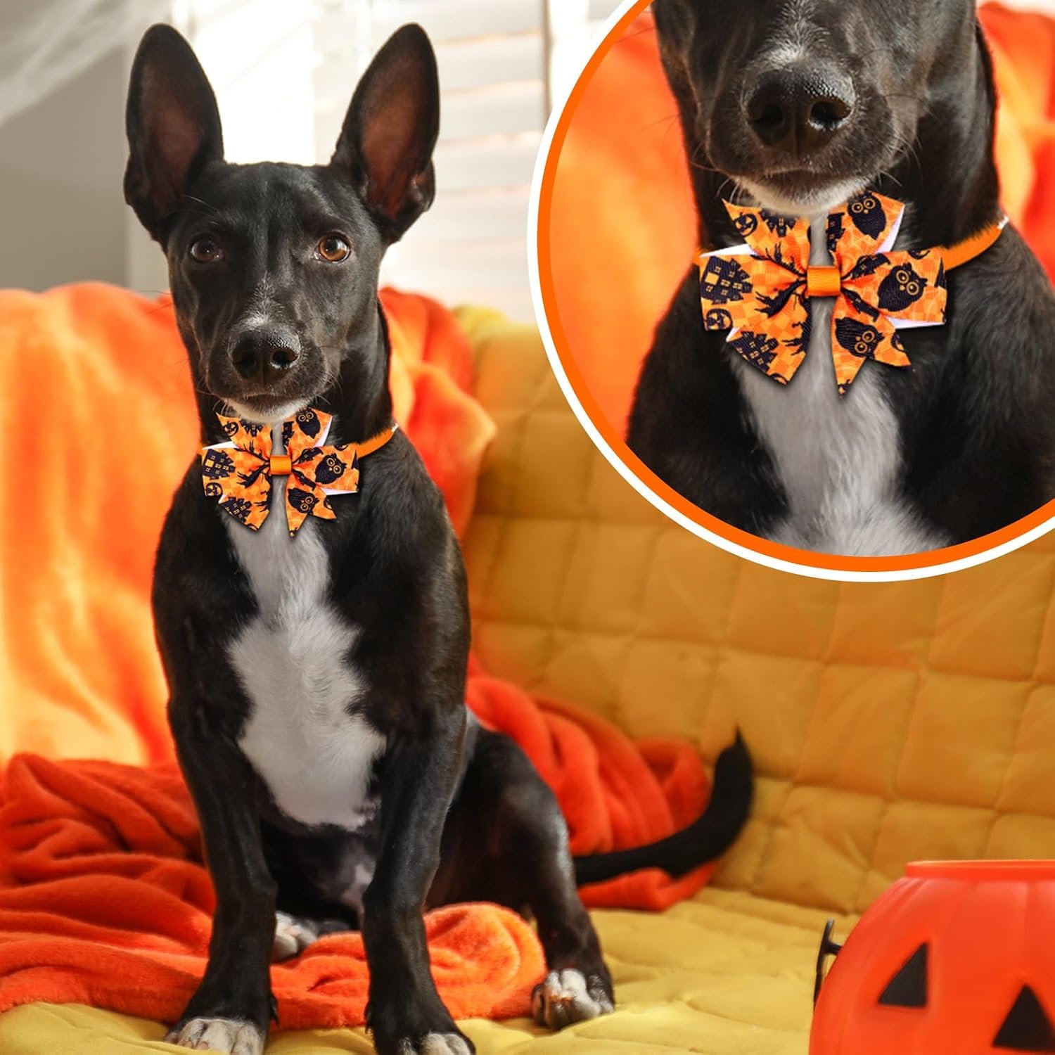 Maitys 40 Pcs Halloween Dog Bows Ties & Collars - Image 4