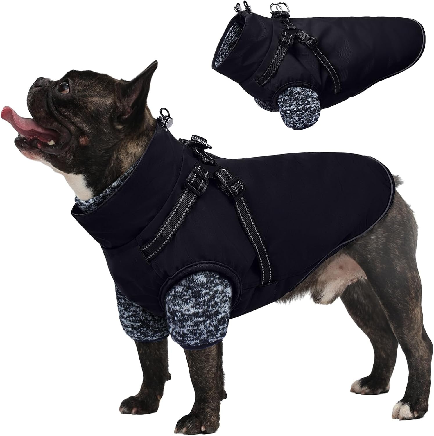 Lelepet Dog Coat 3 in 1 Waterproof ...