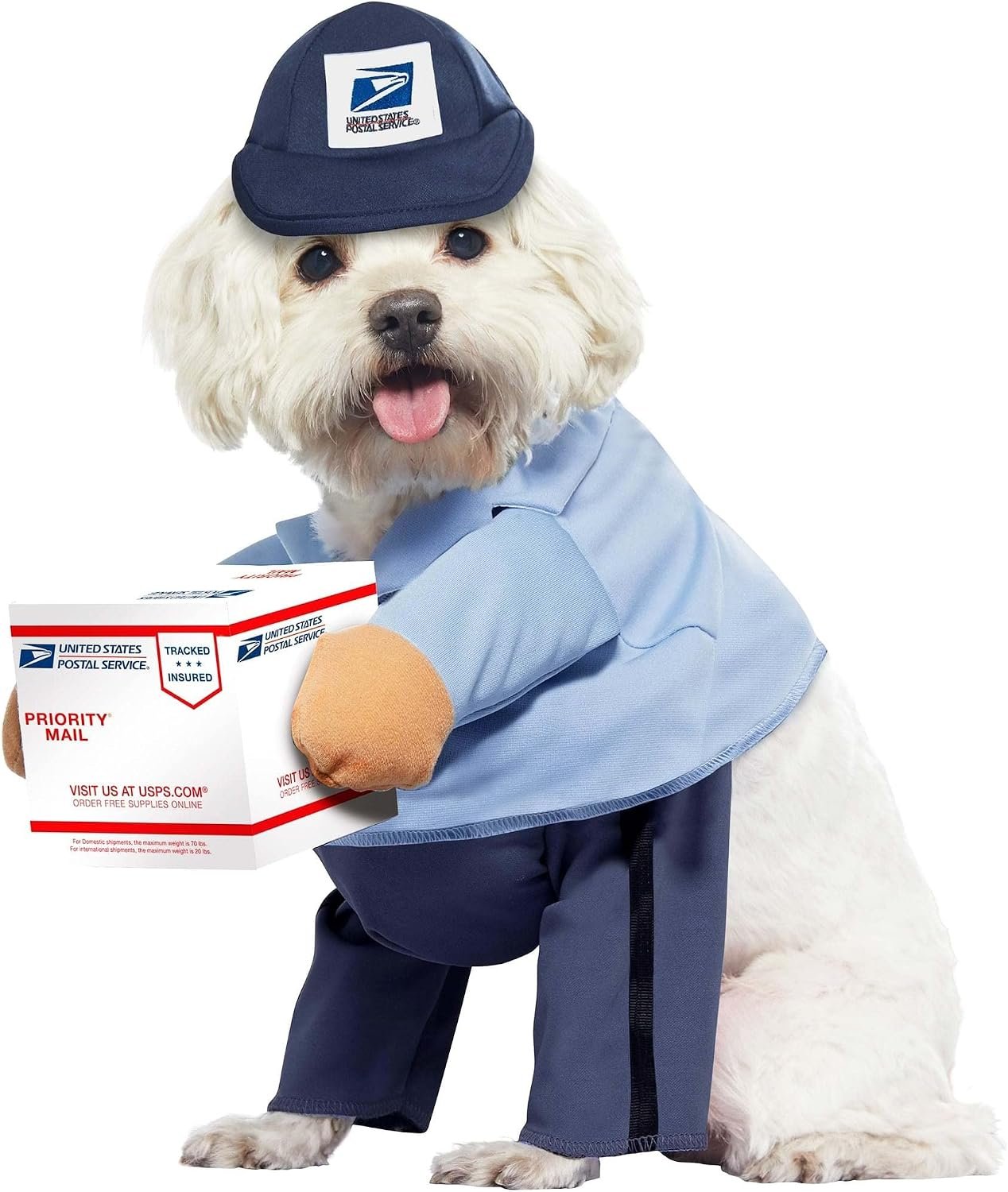 California Costumes Dog Mail Carrie...