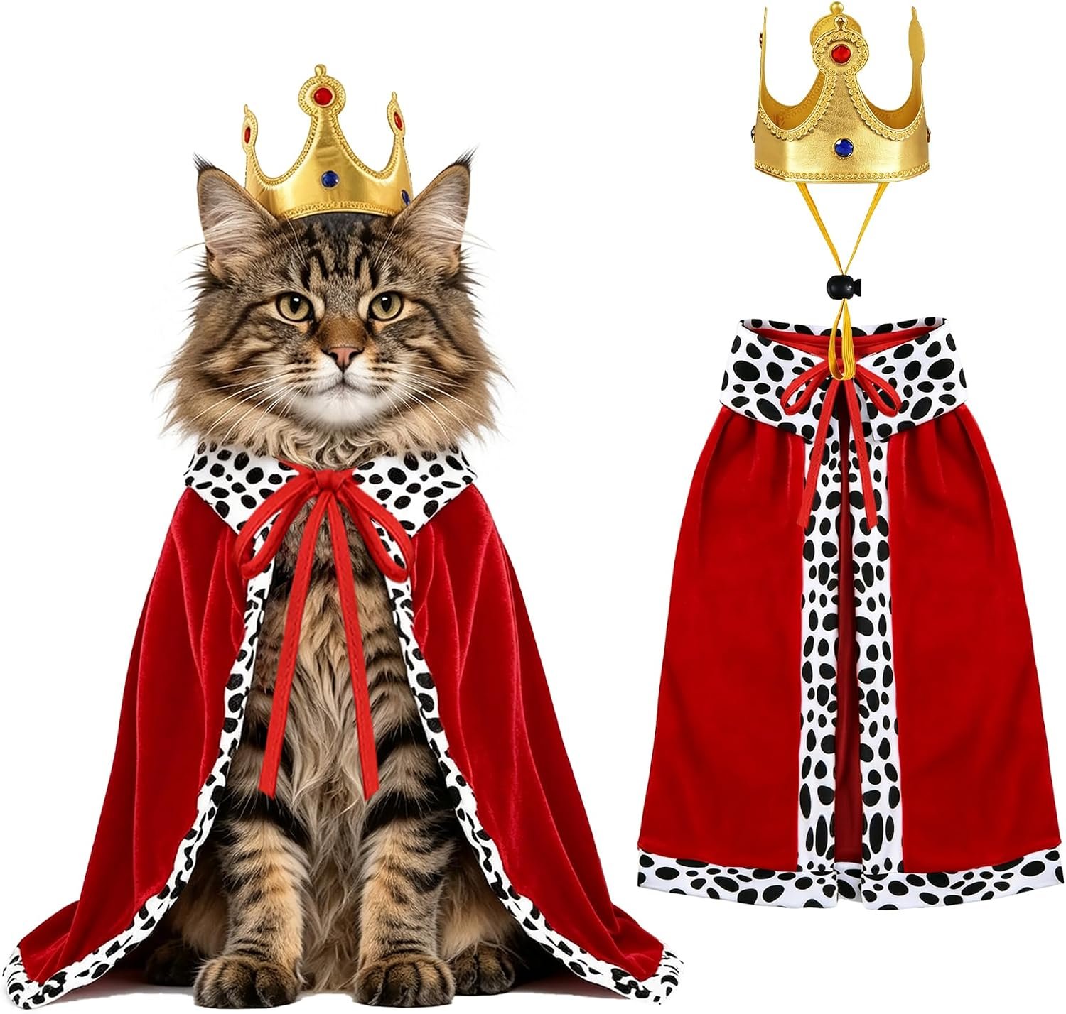 Cat Halloween Costumes Cat Dog Hall...
