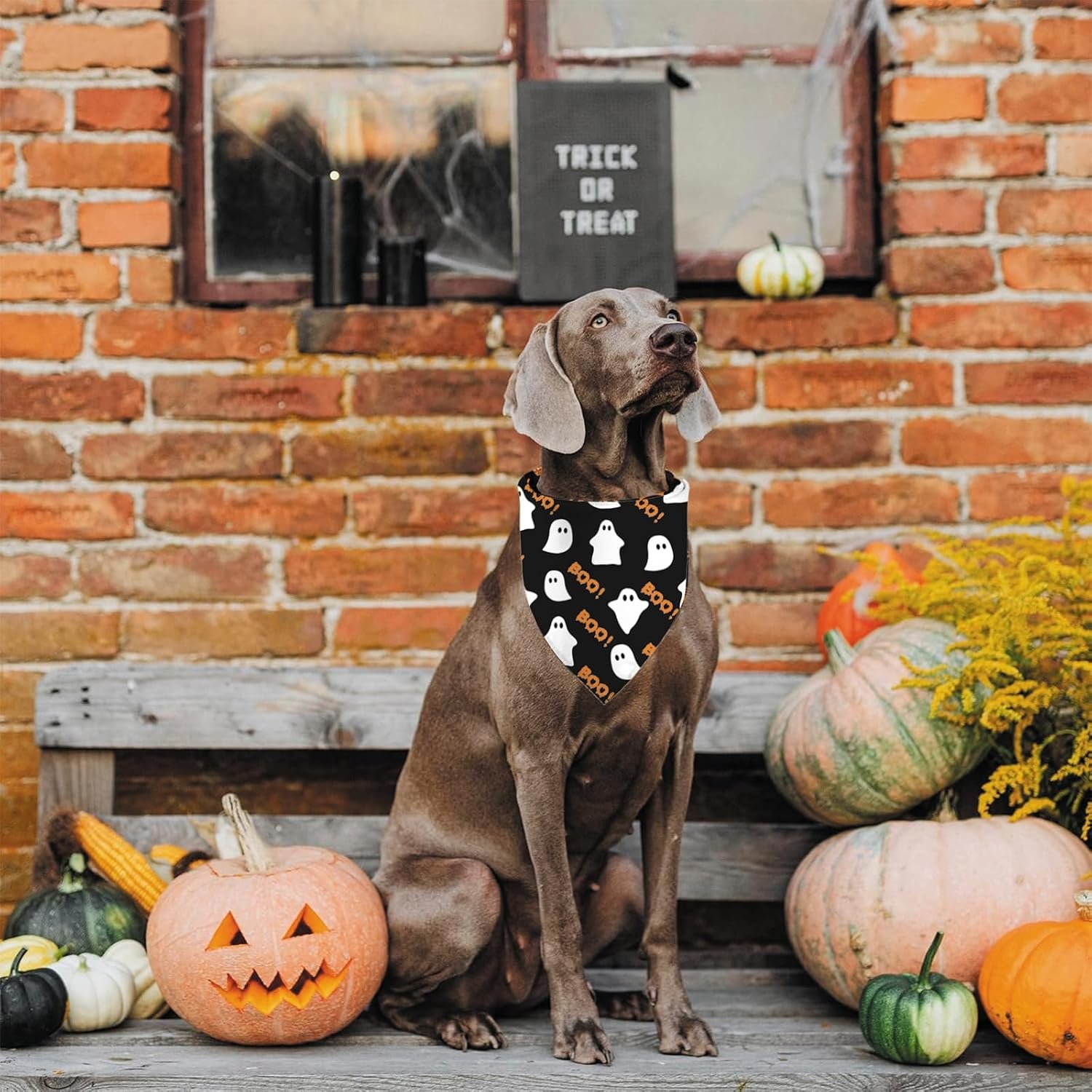 Halloween Dog Bandana Ghost Boo Scarf for Small Medium Large Dogs - Image 2