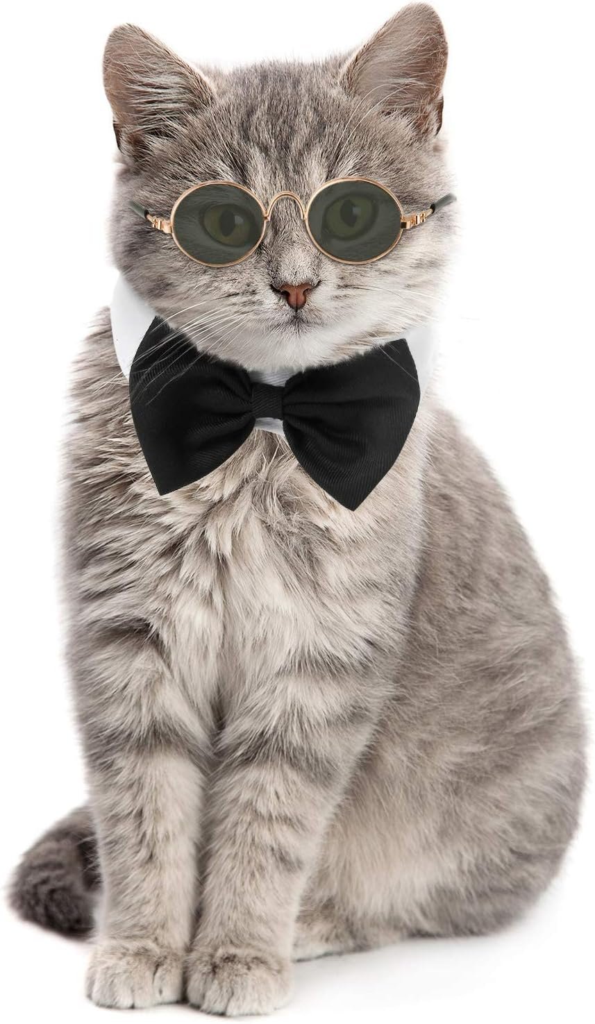 Syhood 2 Pcs Cat Bow Tie Sunglasses...