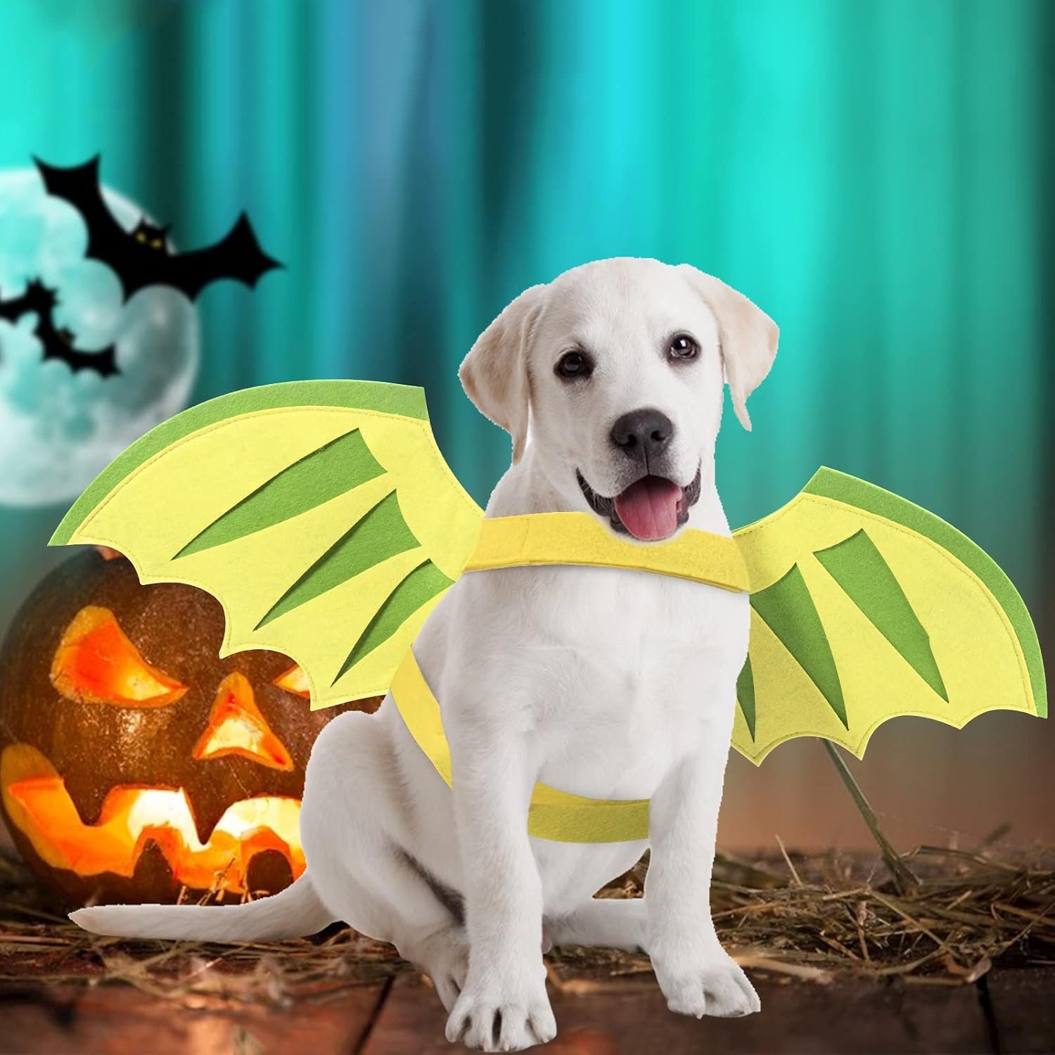 Dog Halloween Costumes Dragon Wings, Dog Costume Pet Dinosaur Wings for Small Medium Large Dogs Puppy, Cat Costume Clothes Outfit Christmas Birthday Party Photo Props - Image 4