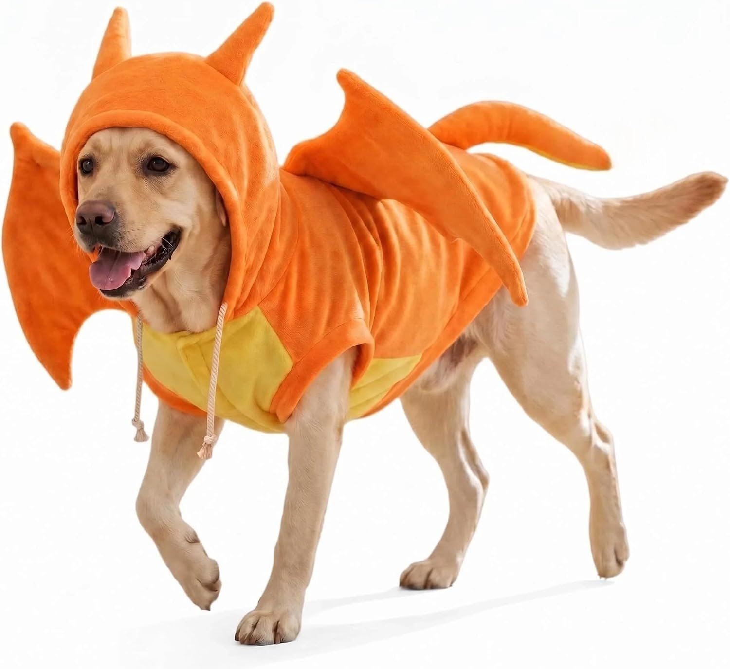 Halloween Large Dog Wing of Fire Dr...
