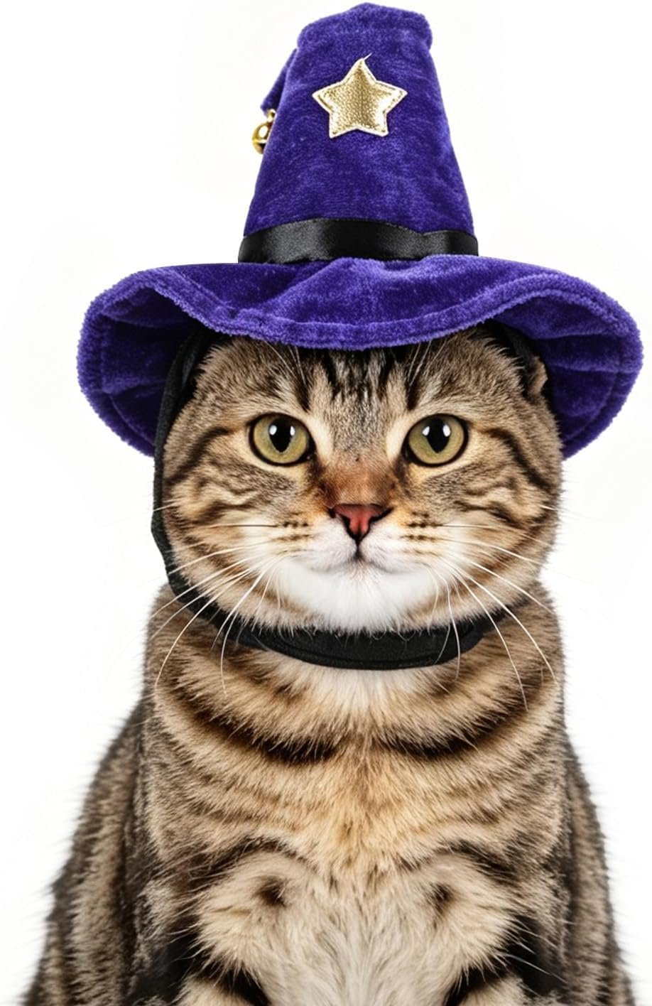 LESYPET Cat Costume Hat, Cat Wizard...
