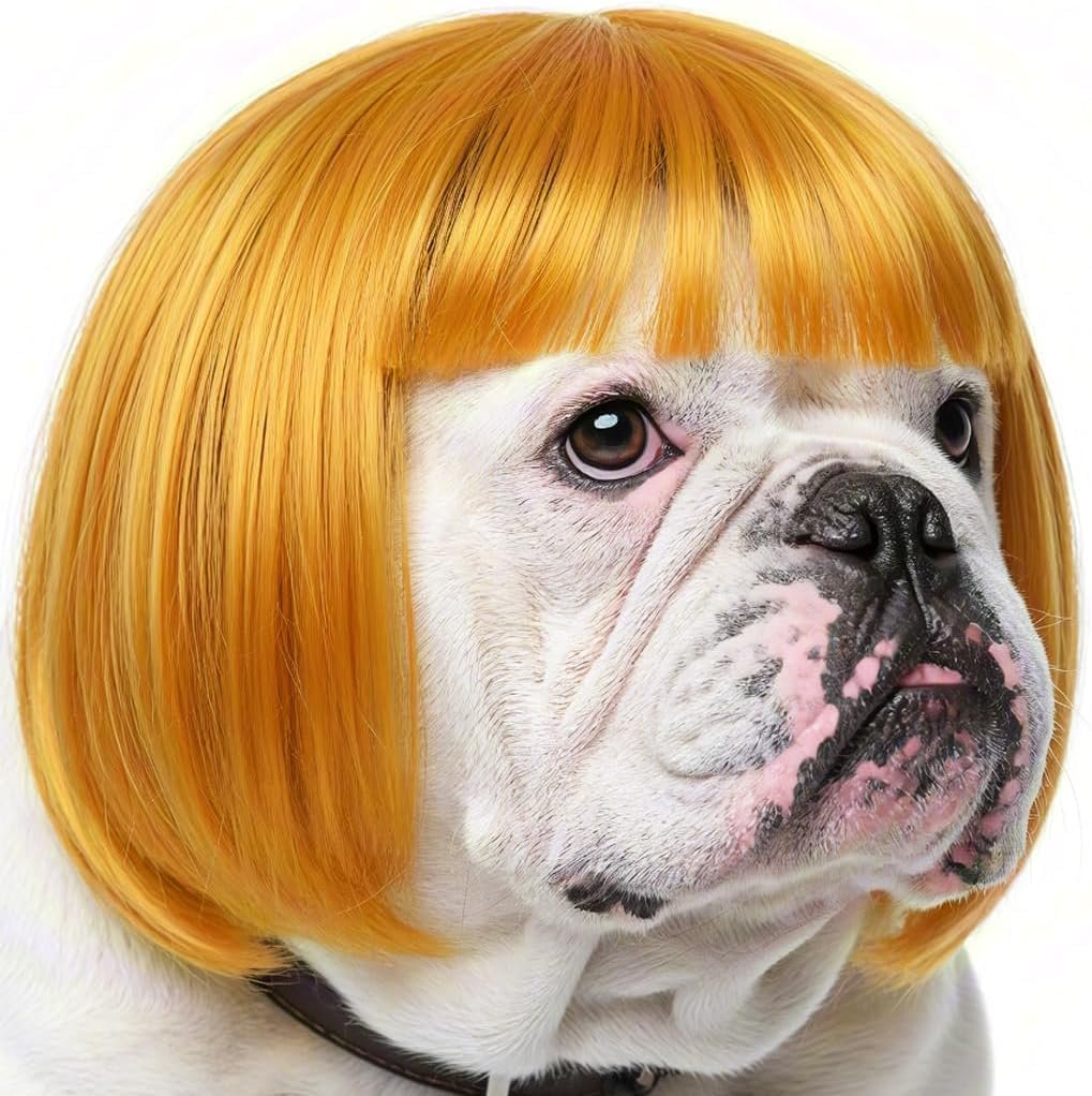 Dog Wig Costume with Adjustable Ela...