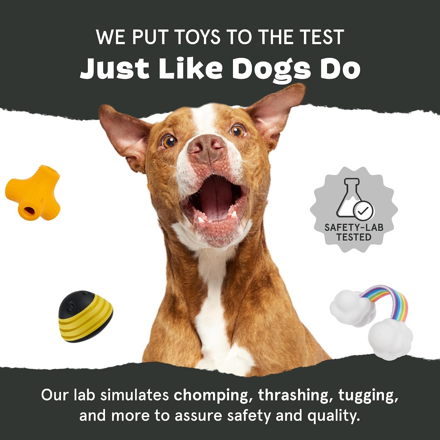 BarkBox Dogness Monster Super Chewer - Toy for Medium and Large Dogs - Image 7