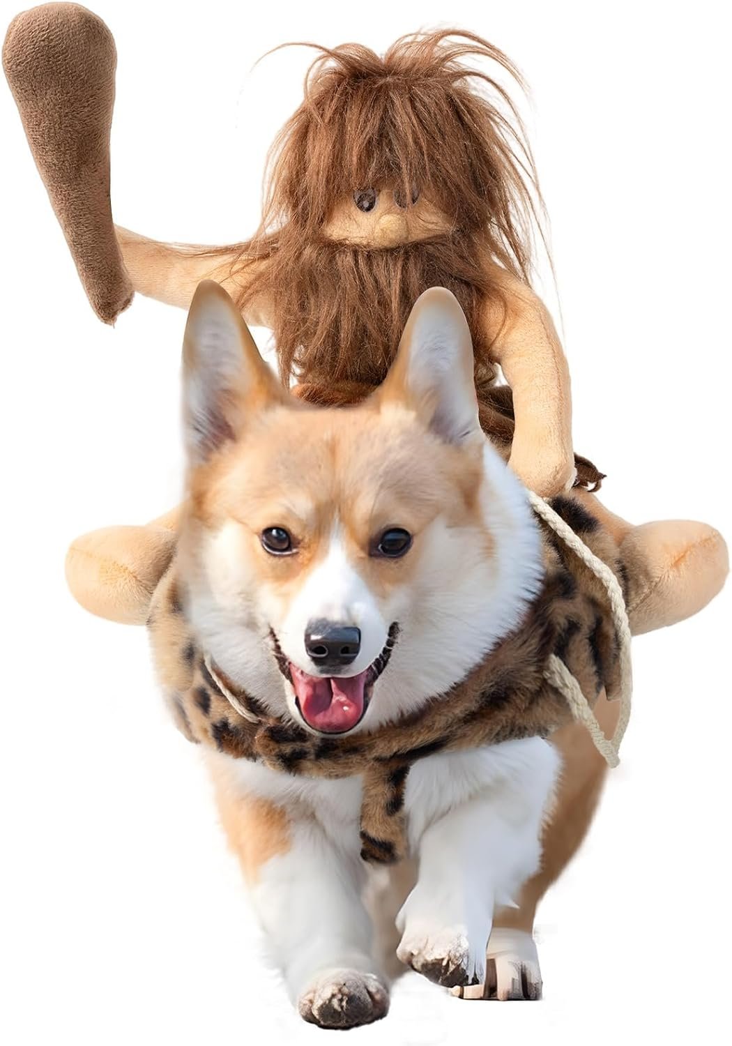DELIFUR Dog Halloween Costume Funny...