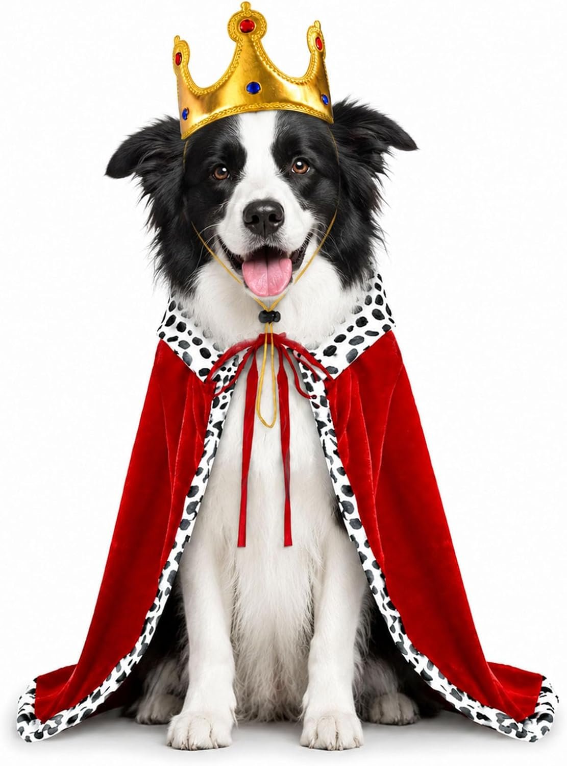 Dog Halloween Costumes for Medium D...