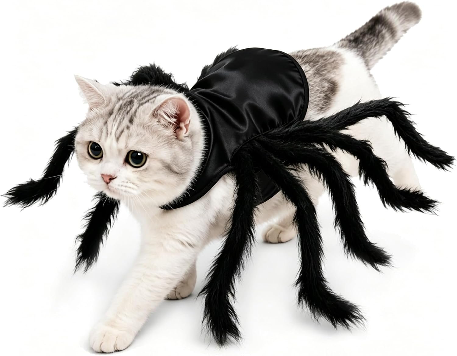 Halloween Spider Costume for Dogs &...