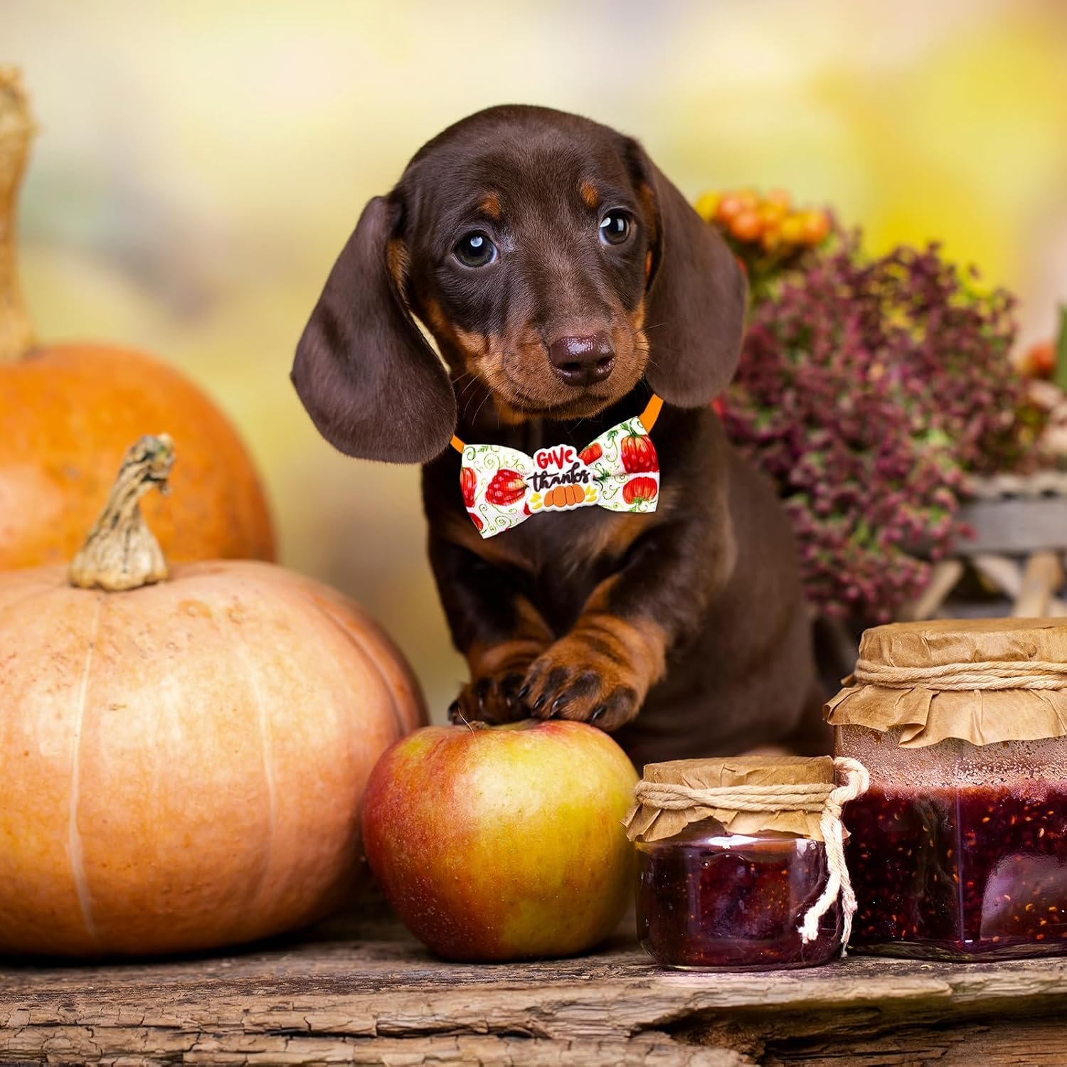 22pcs Fall Dog Bow Tie, Adjustable Bowtie Collar Attachment for Small Medium Pets, Bulk Neckties Set for Thanksgiving Day,Autumn Pet Supplies Charms Hair Costume Accessories(Maple Leaf, Pumpkin) - Image 7