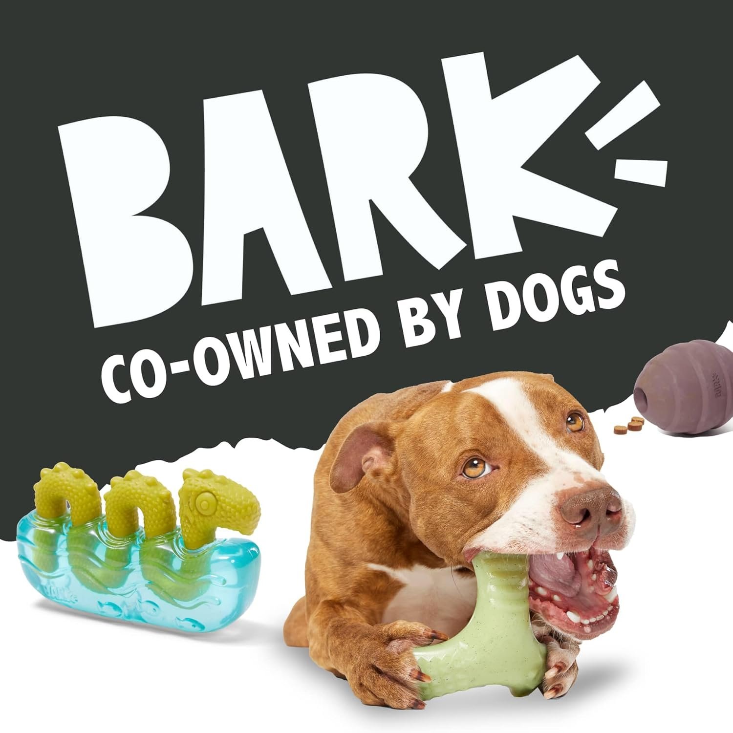 BarkBox Dogness Monster Super Chewer - Toy for Medium and Large Dogs - Image 8