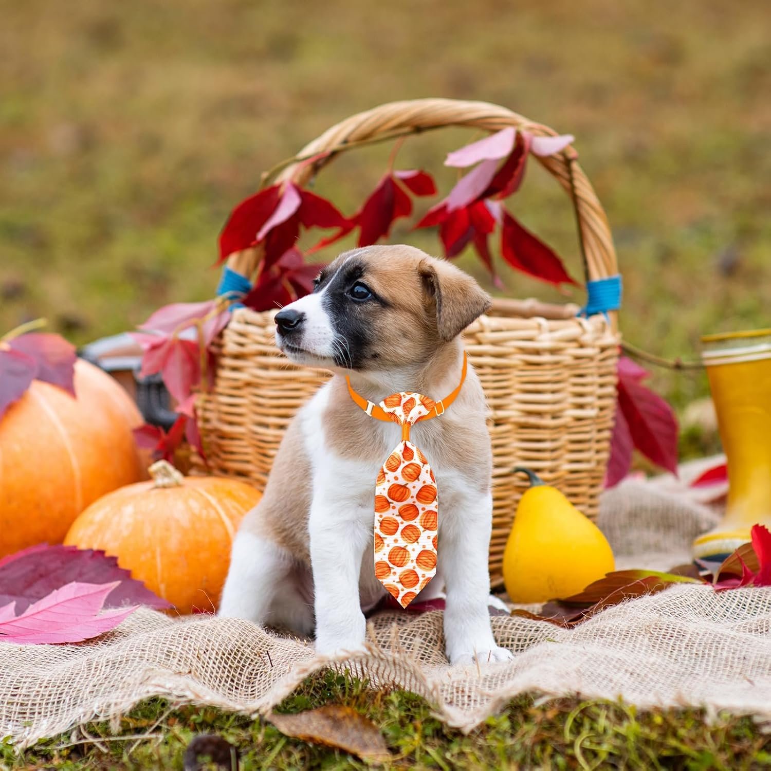 22pcs Fall Dog Bow Tie, Adjustable Bowtie Collar Attachment for Small Medium Pets, Bulk Neckties Set for Thanksgiving Day,Autumn Pet Supplies Charms Hair Costume Accessories(Maple Leaf, Pumpkin) - Image 8