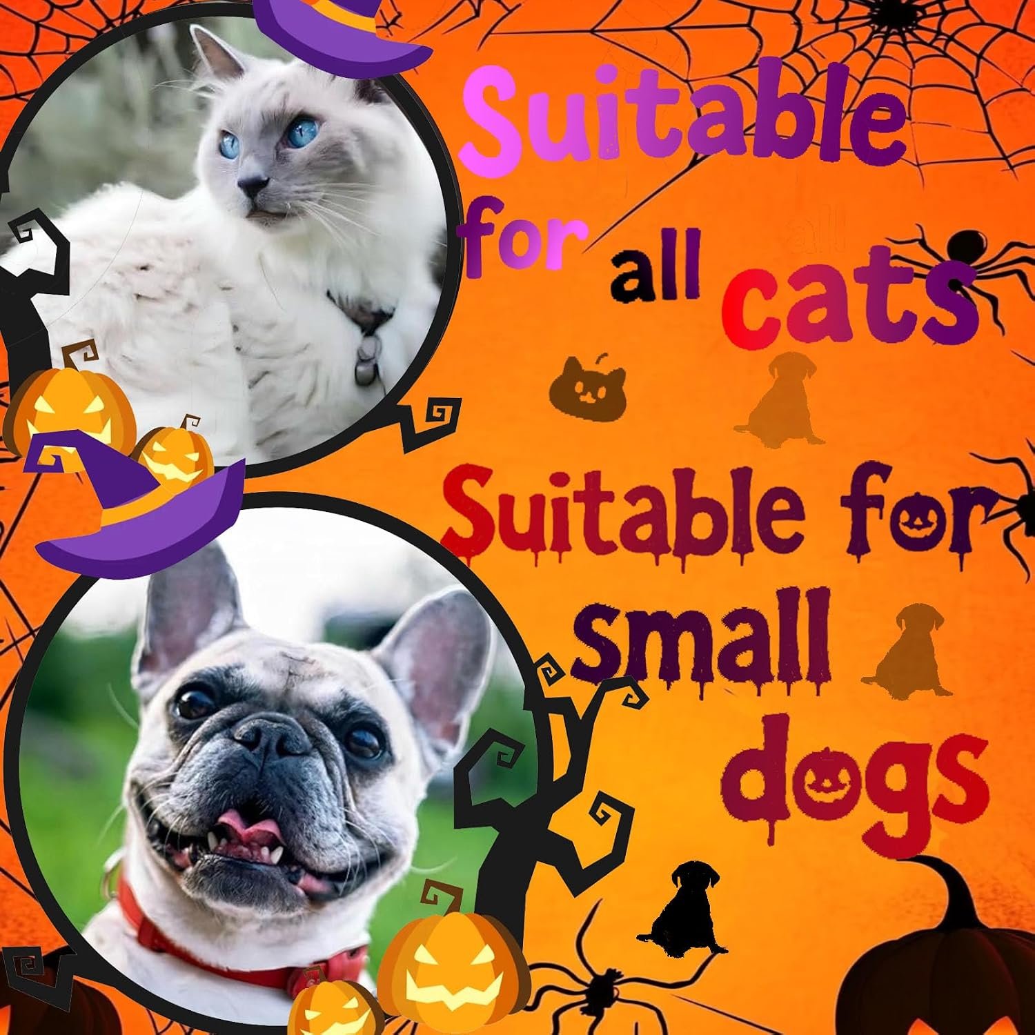 Halloween Dog Costume - Black Witch Hat & Halloween Outfit for Cats and Small Sized Dogs,Handmade Festive Halloween Pet Apparel with Pumpkin Design for Party & Photos - Image 9