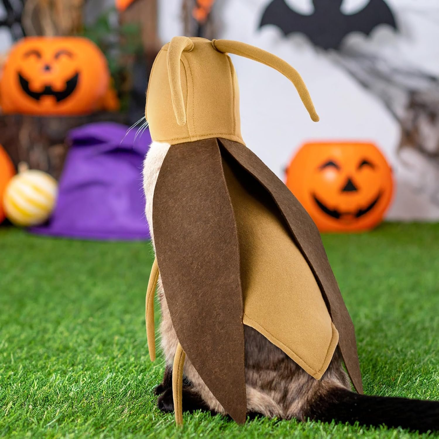 Halloween Puppy Cat Costume Dog Cockroach Shaped Outfits Pet Festival Cosplay Apparel for Small Dogs Cats - Image 6