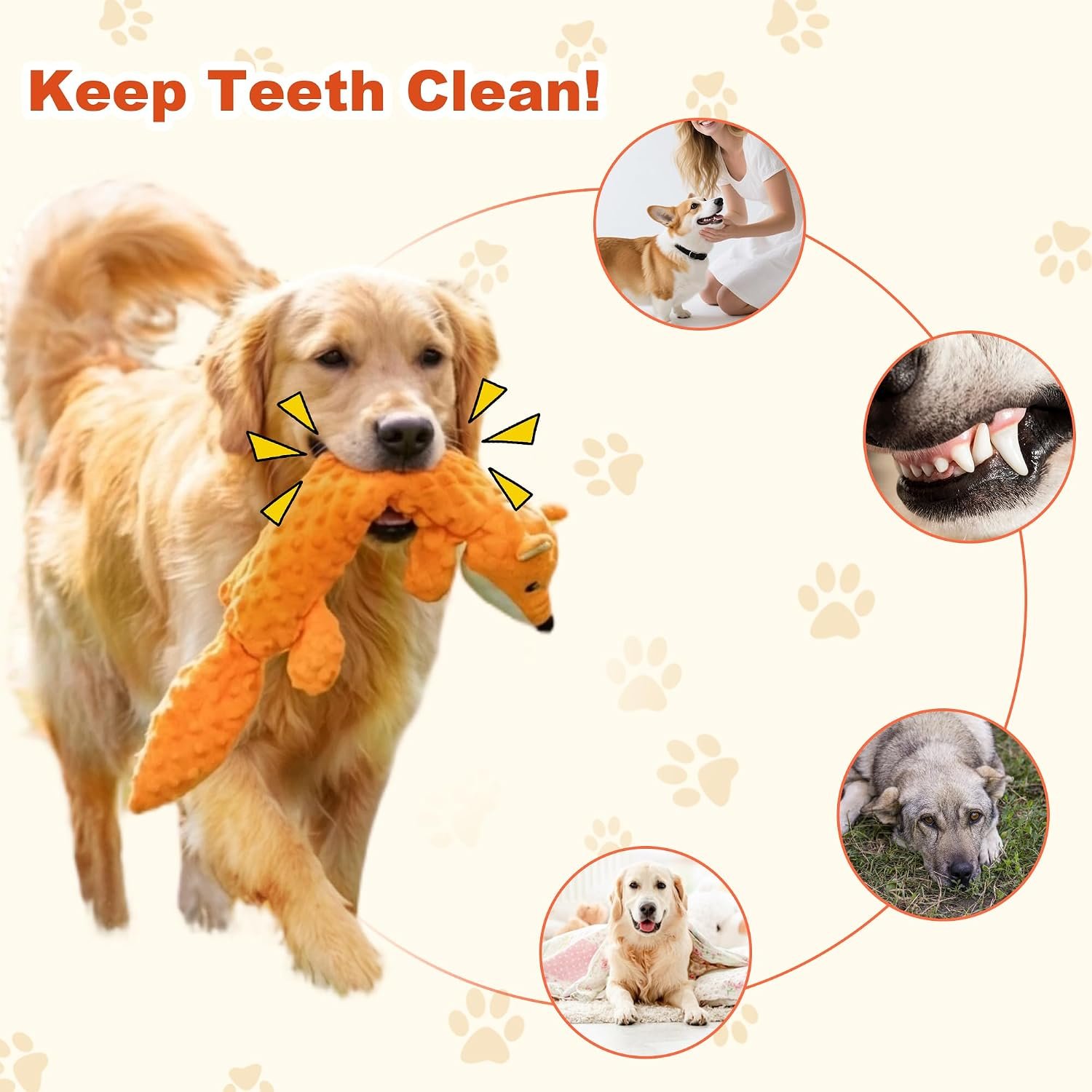 3Pack Squeaky Dog Toys, No Stuffing Plush Dog Toys to Keep Them Busy, Crinkle Chew Toy for Large Medium Small Dogs, Interactive Stuffless Bundle Puppy Teething Toys - Image 2