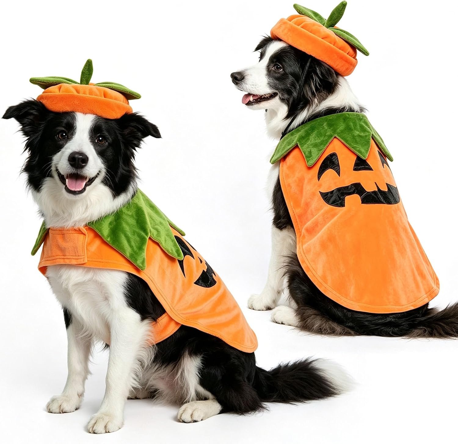 BEAUTYZOO Halloween Dog Pumpkin Cos...