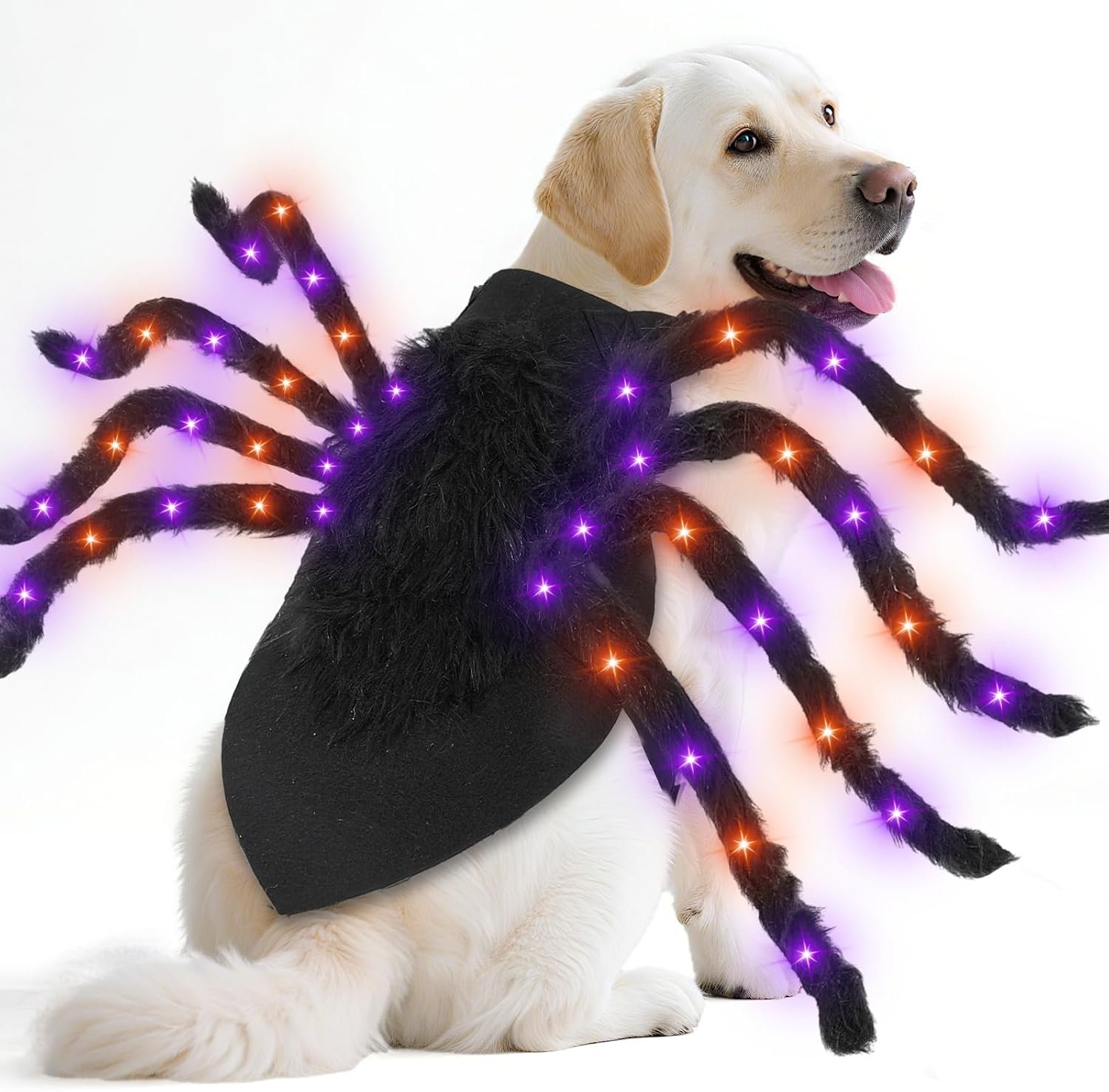 Halloween Light up Spider Dog Costu...