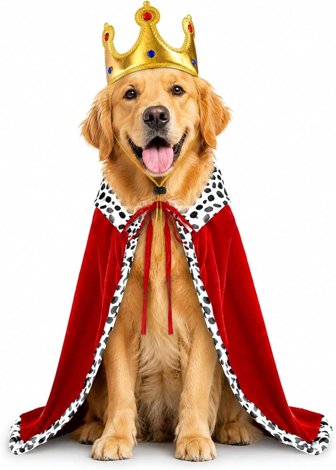 Dog Halloween Costumes for Large Do...