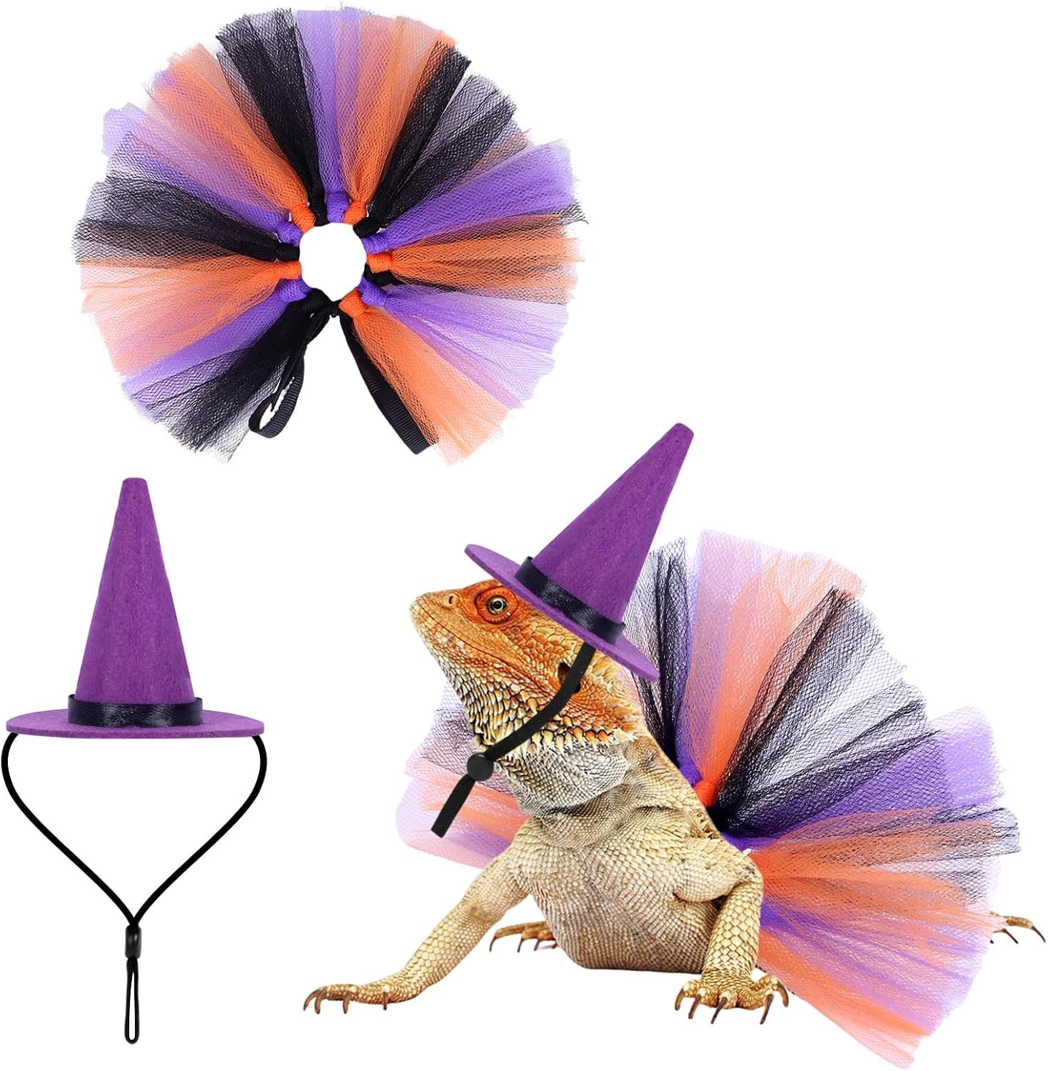 2pcs Bearded Dragon Witch Costume S...