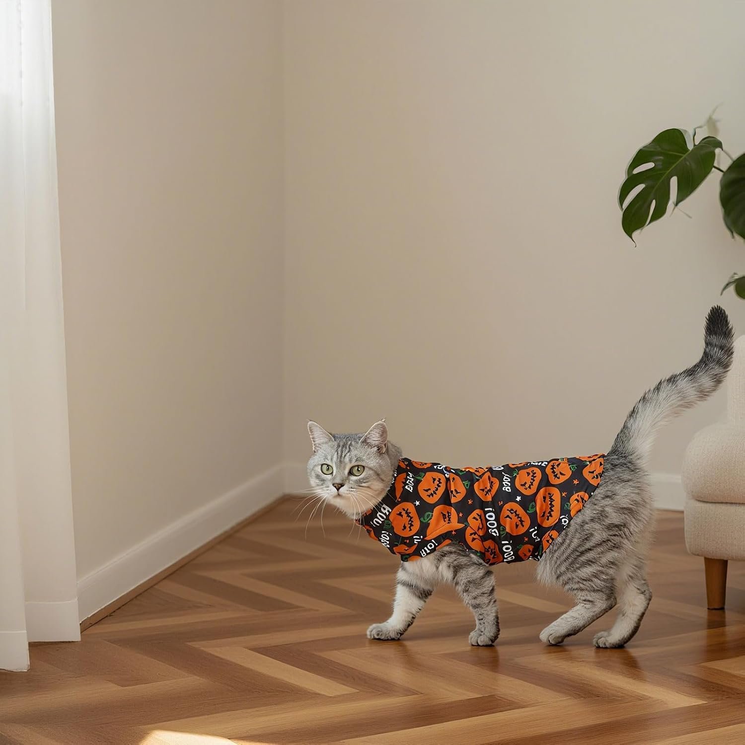 EXPAWLORER Halloween Cat Sweater Warm Fleece Pet Clothes for Cats Only - Image 6