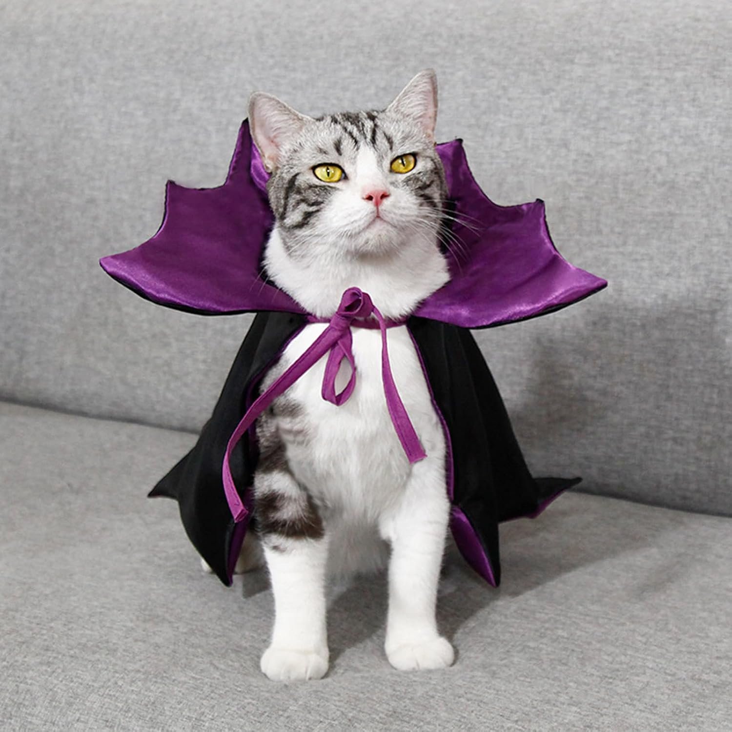 Qiansail Cat Cape Vampire Cloak Halloween Dog Costume Pet Cosplay Apparel Outfit Decor Accessories for Puppy Kitten, Black and Purple, Polyester, Adjustable 7-19 Inches - Image 2