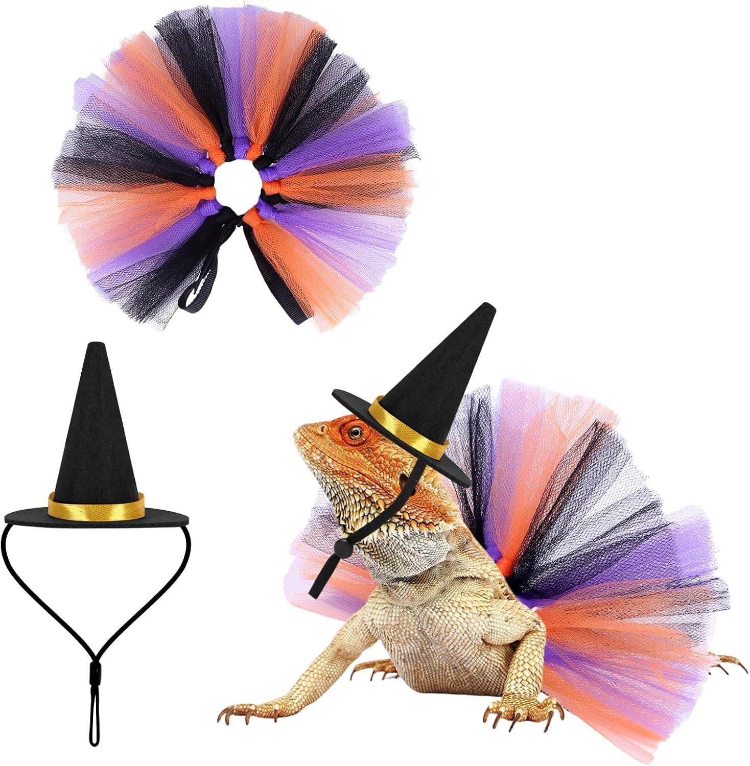 2pcs Bearded Dragon Witch Costume S...