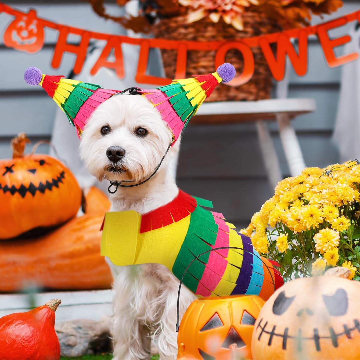 Dansydaisy Halloween Piñata Dog Costume Mexican Dog Costume, XL, 30-46 LB - Image 3