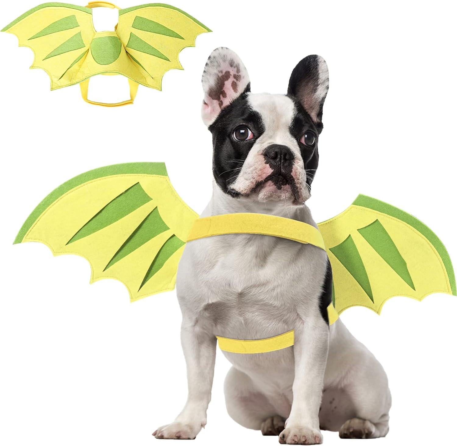 Dog Halloween Costumes Dragon Wings...