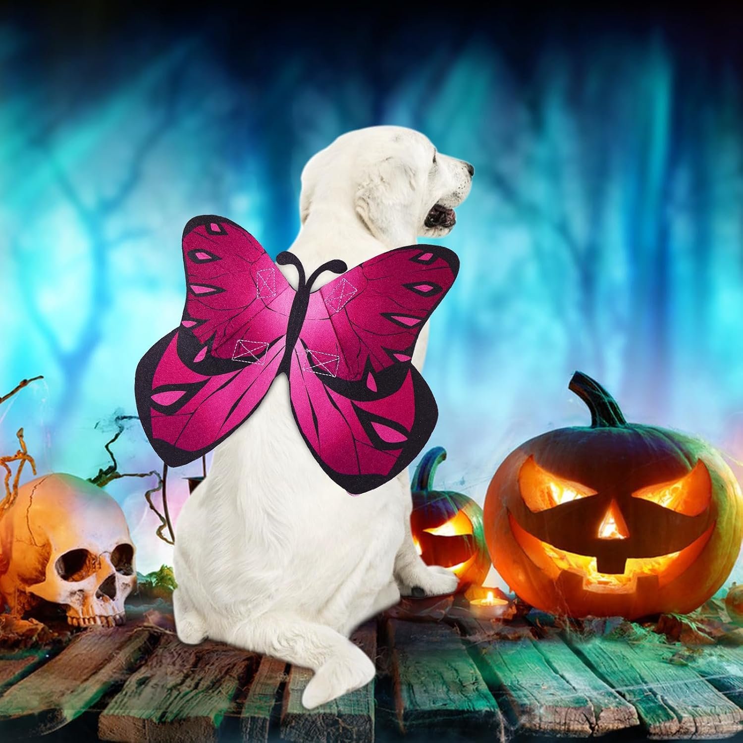 Butterfly Dog Wings Halloween Costume for Small Medium Large Dogs 3PCS Flowers, Pet Costumes Fairy Wings for Christmas Cosplay Puppy Clothes Parade Photo Props Cat Dress up Accessories - Image 5