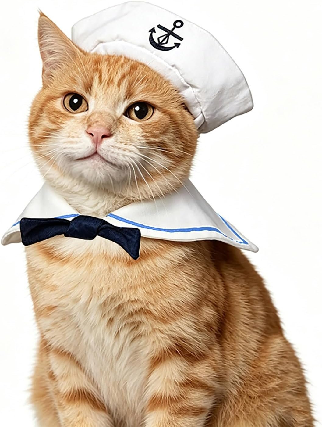 Lesypet Cat Hat Halloween Costume, ...