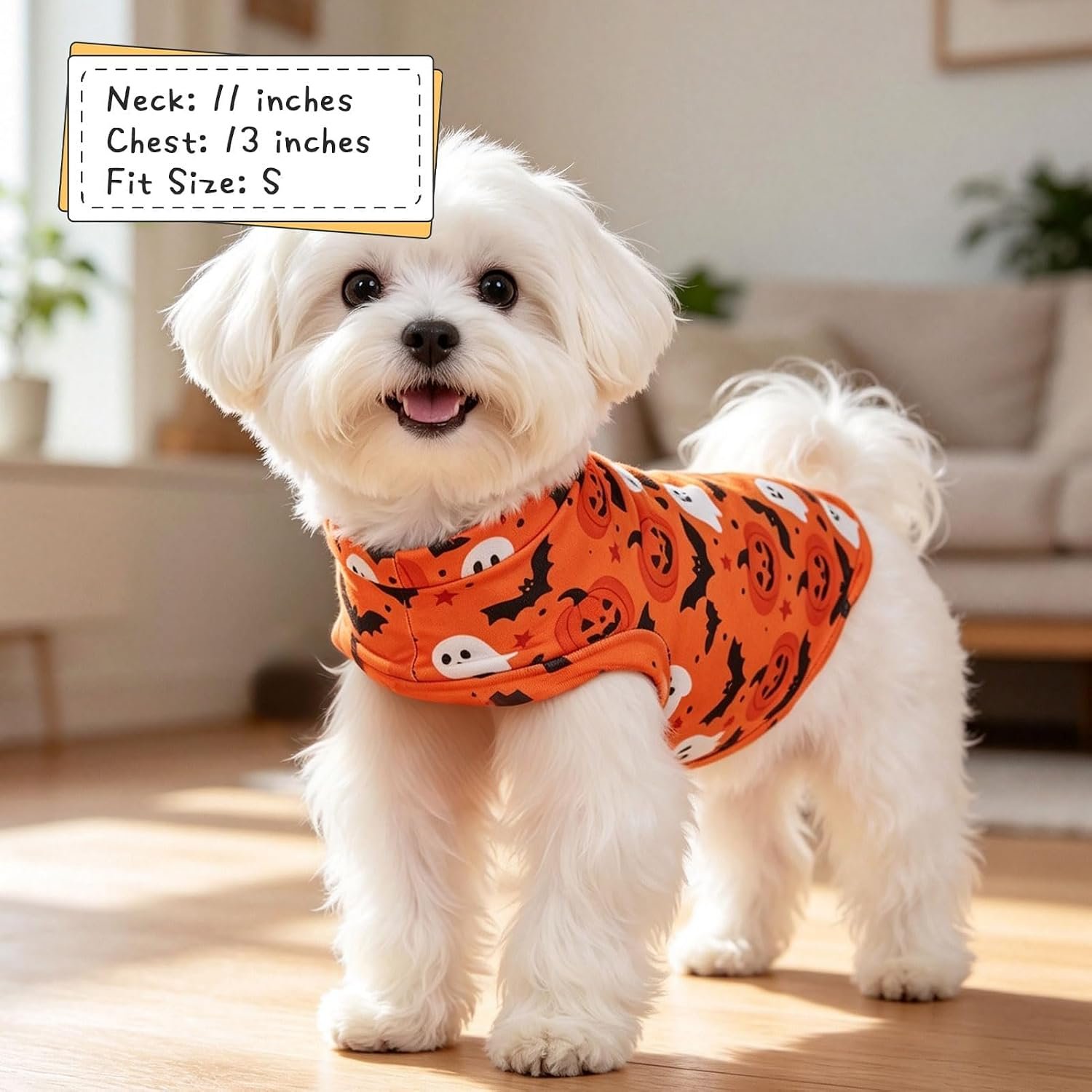 EXPAWLORER Halloween Cat Sweater Warm Fleece Pet Clothes for Cats Only - Image 6