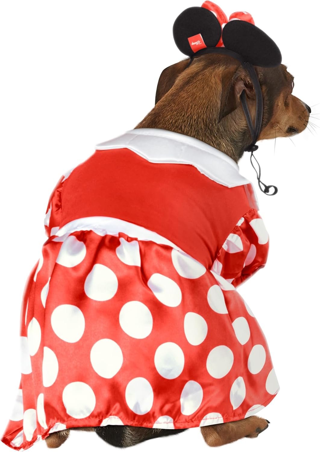 Rubies at Party City Disney: Minnie Mouse Pet Costume for for Dogs or Cats, XL - Image 7