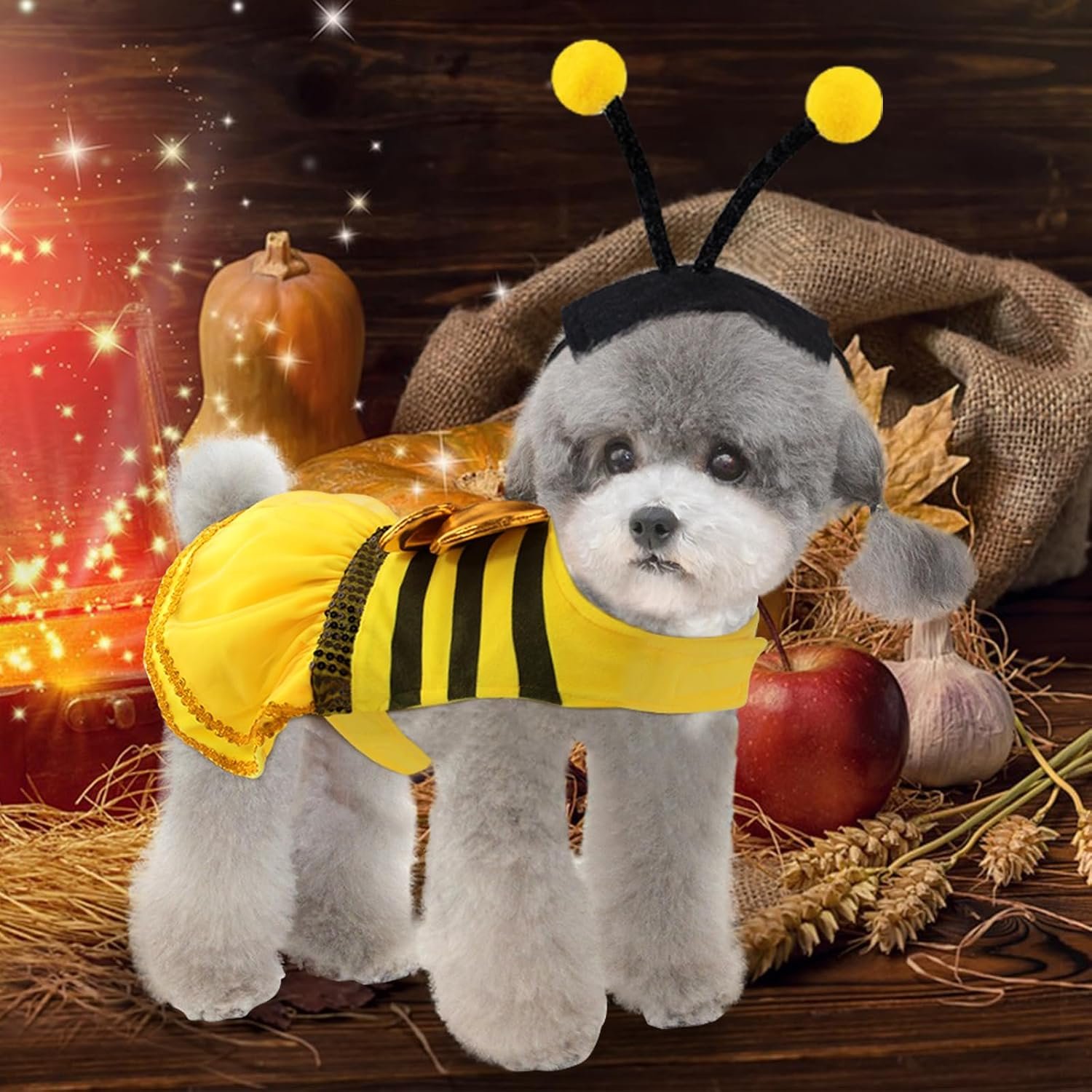 Bee Dog Halloween Costumes, Bumblebee Dog Costume for Small Medium Dogs Cats, Puppy Clothes Outfit Dress with Cap for Halloween Christmas Parties Cosplay Parade - Image 5