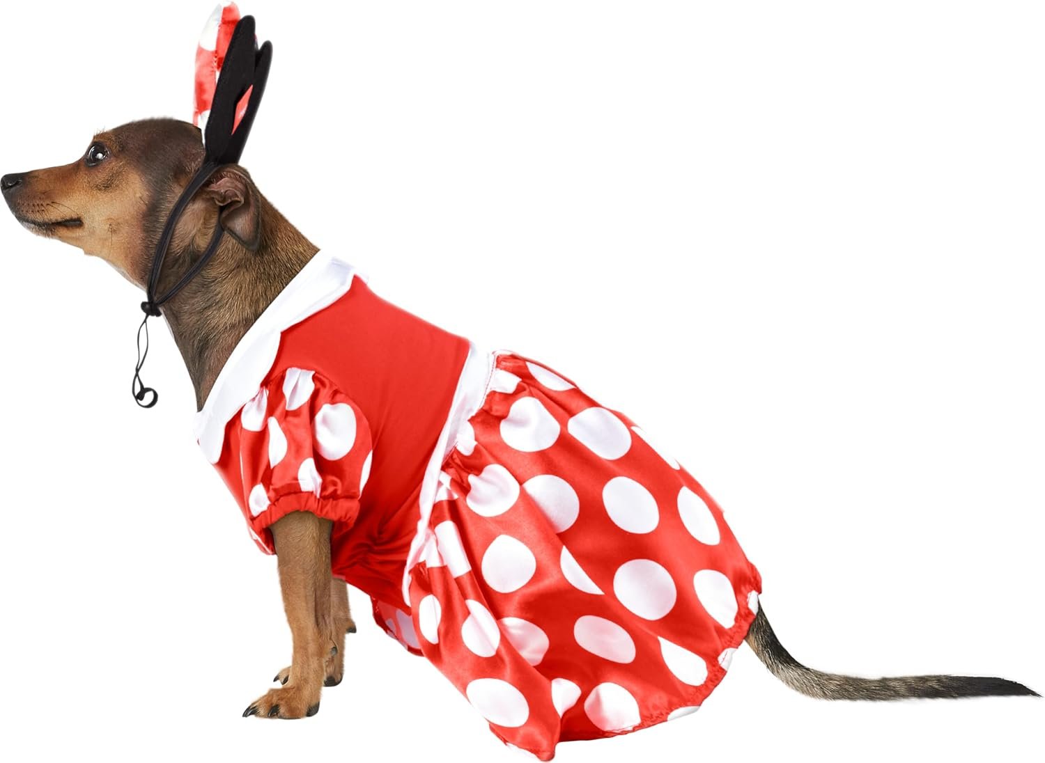 Rubies at Party City Disney: Minnie Mouse Pet Costume for for Dogs or Cats, XL - Image 6