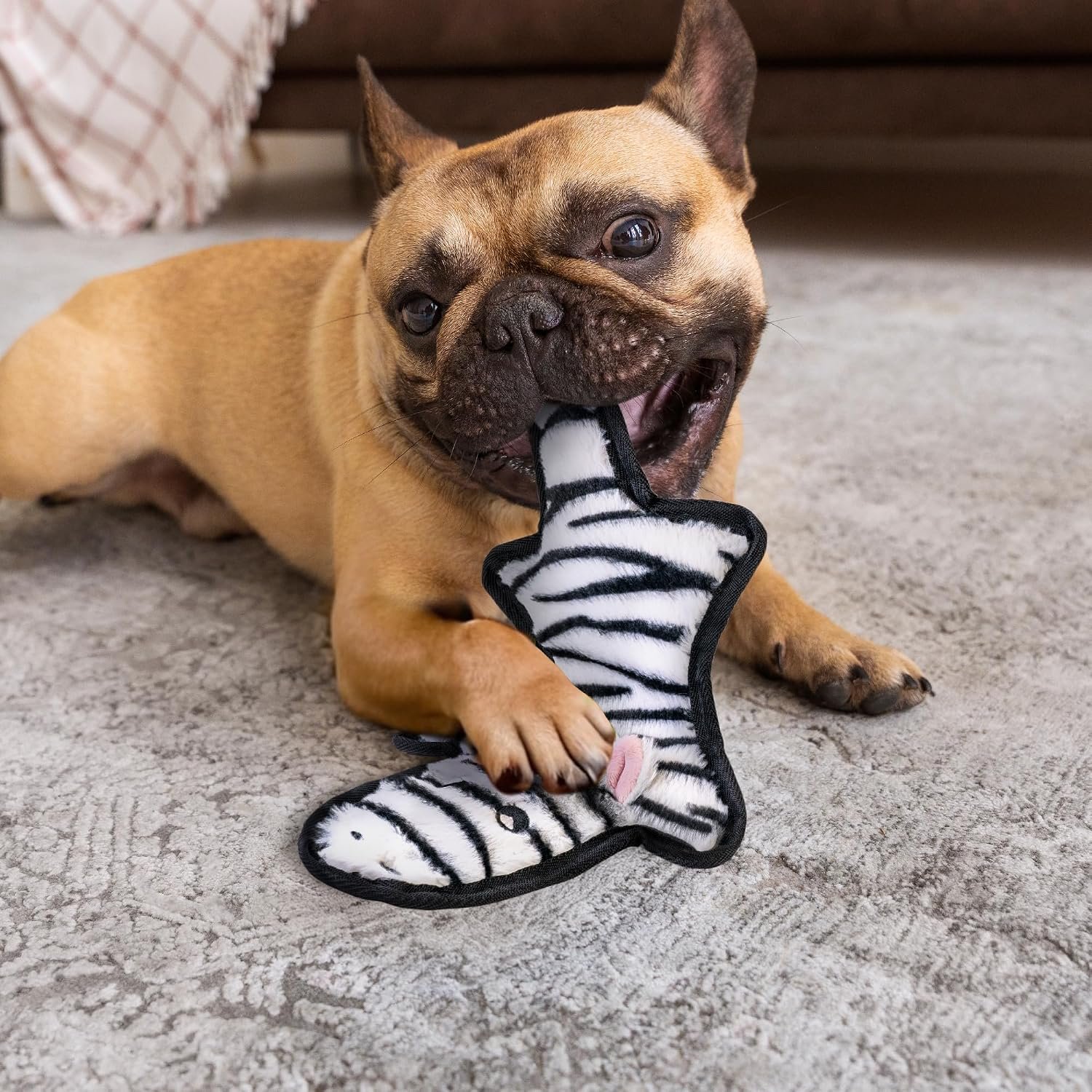SHARLOVY No Stuffing Dog Toys Crinkle Squeaky, Long Lasting Chews for Aggressive, Durable Plush Dog Puppy Chew Toys for Teething, with 6 Tough Layers for Small Medium Large Breed-5pack,Large - Image 5