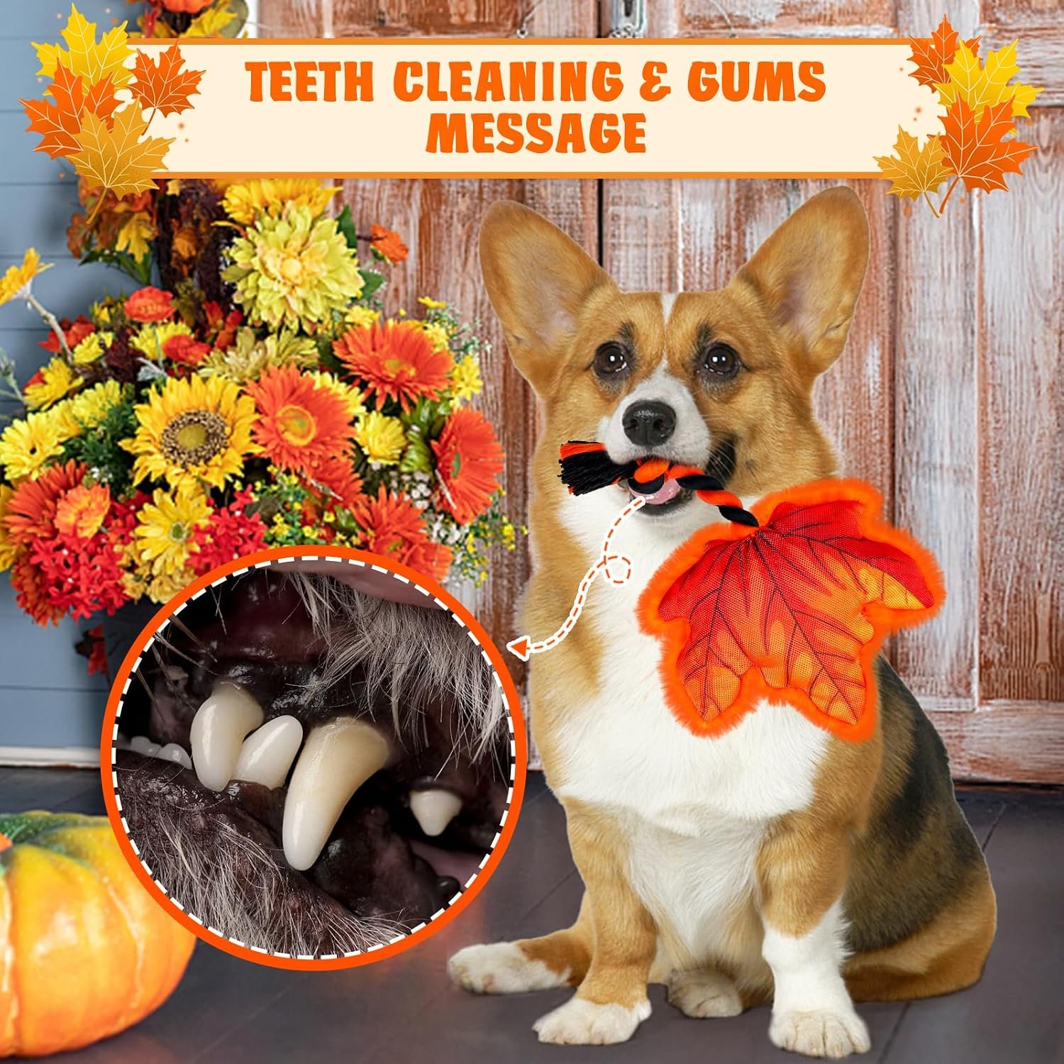 Thanksgiving Dog Toy, Squeaky Maple Leaf Rope Toy for Small Dogs - Image 5