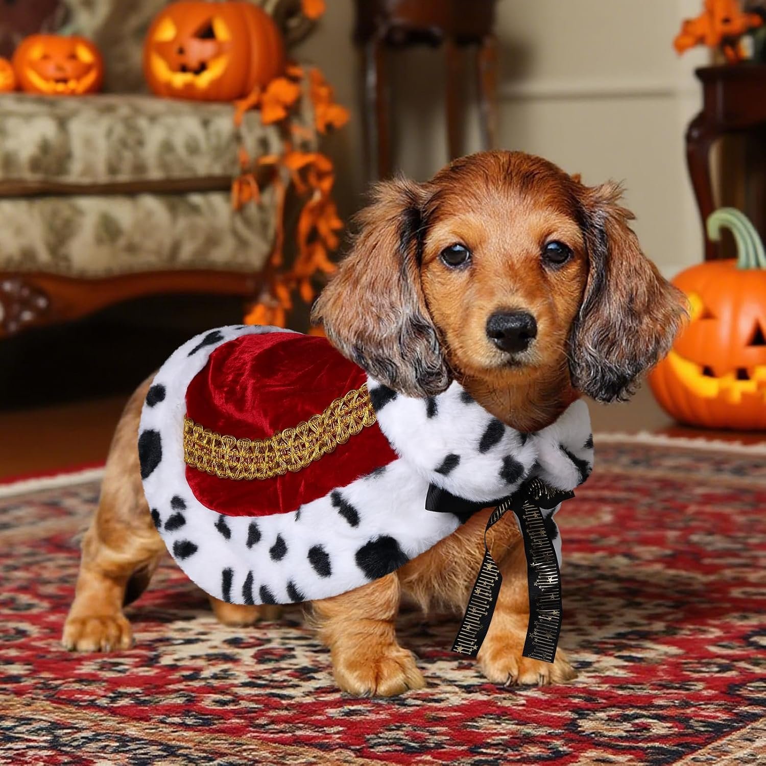 Dog King Costume, Faux Fur Dog Hall...